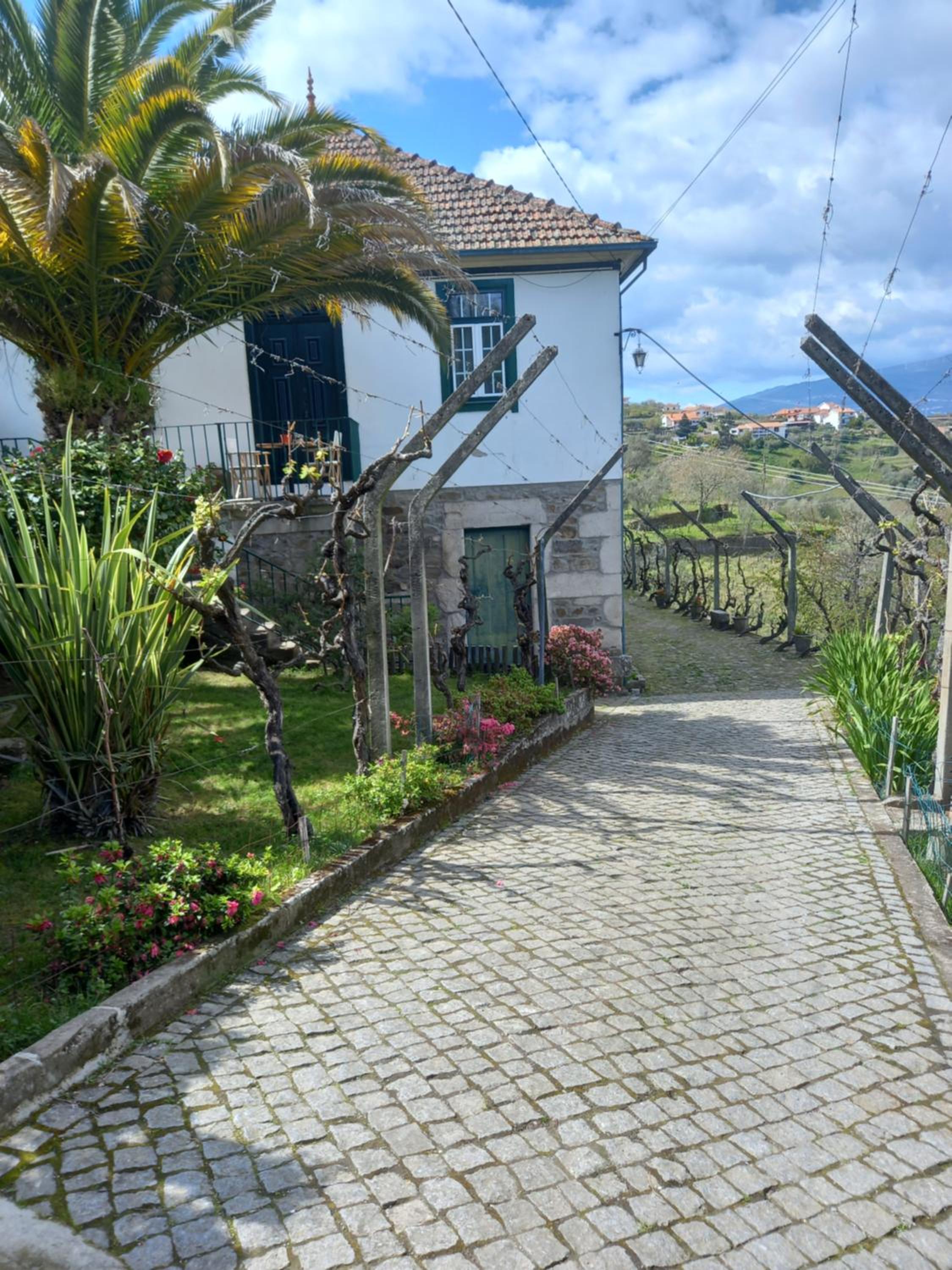 Quinta Casa Do Quintal view 4