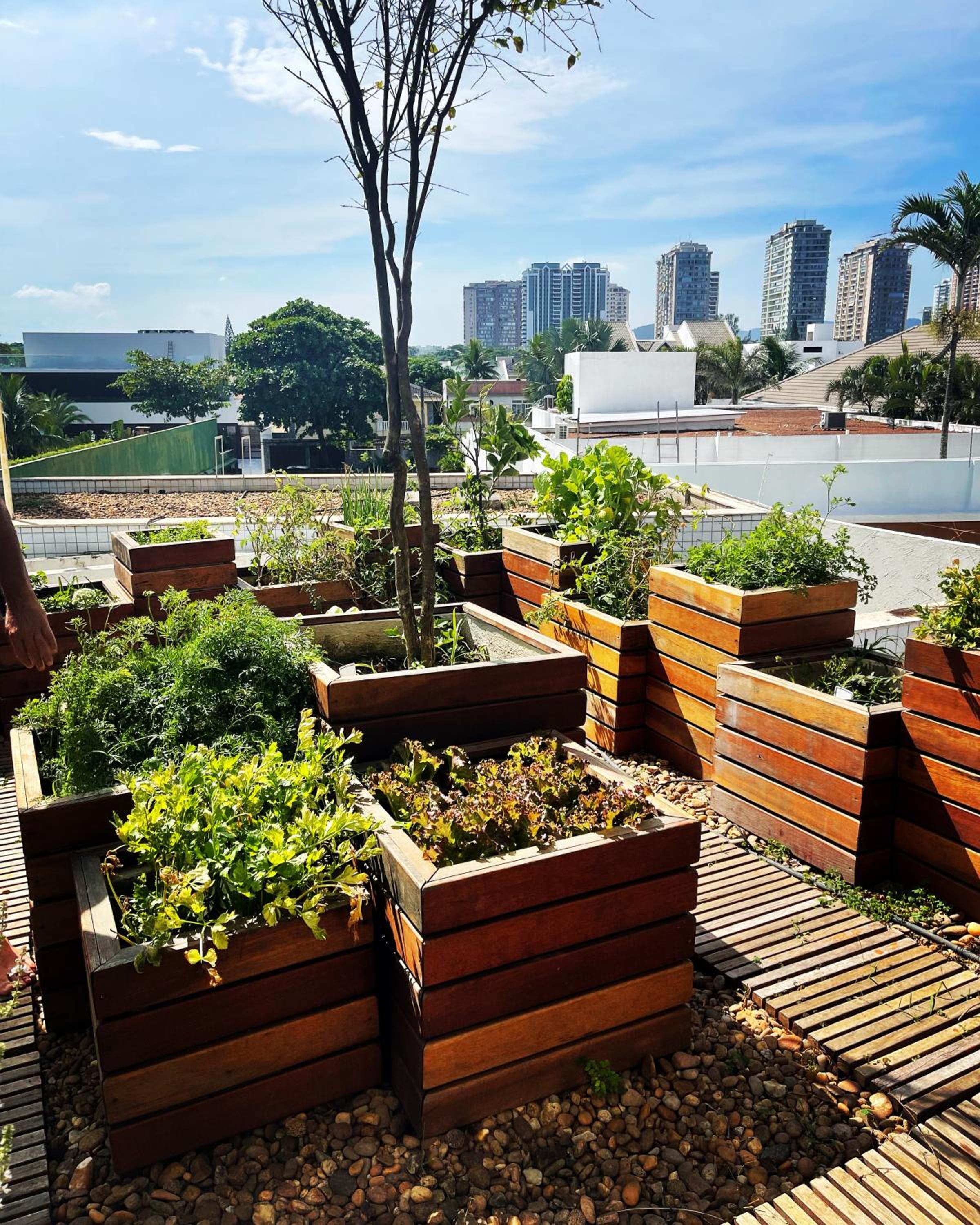 Flat Beira Mar com vista maravilhosa view 5