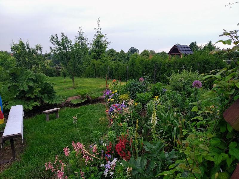 Oaza nad Krutynią view 4