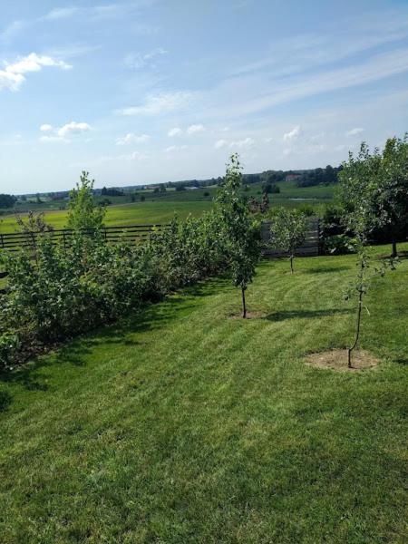 Oaza nad Krutynią view 5