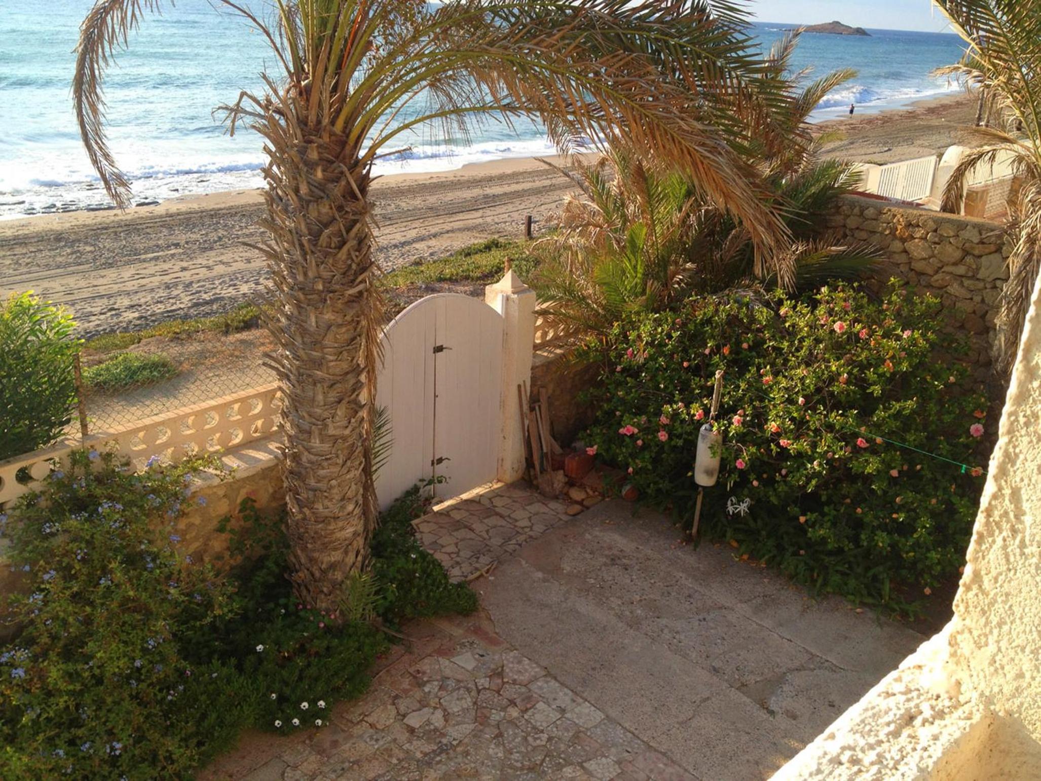 Photo 23