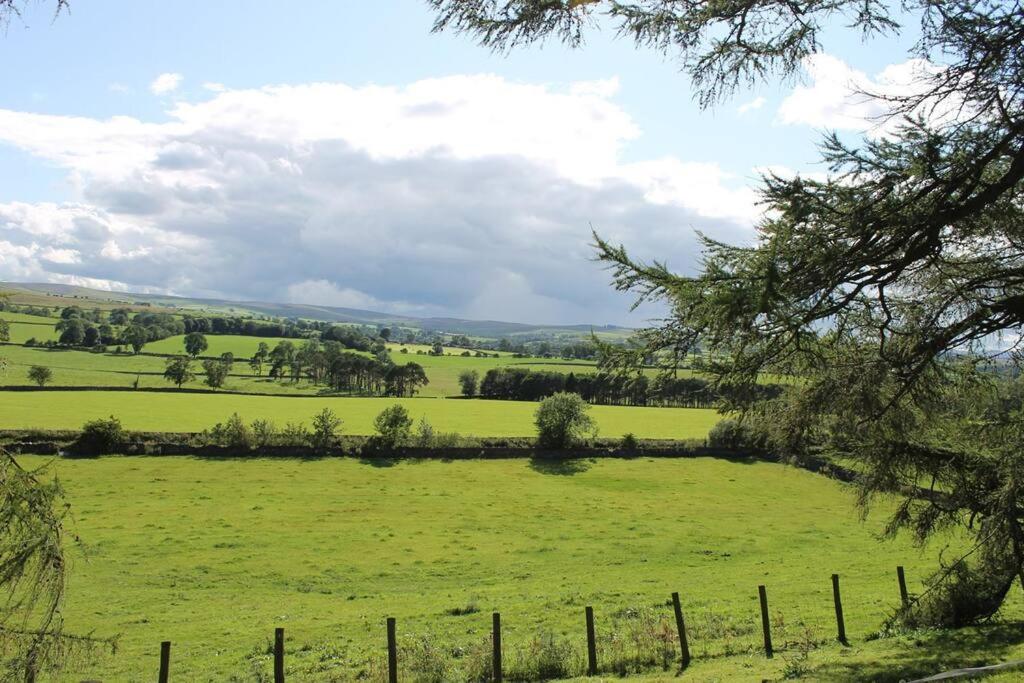 Sycamore Cottage view 3