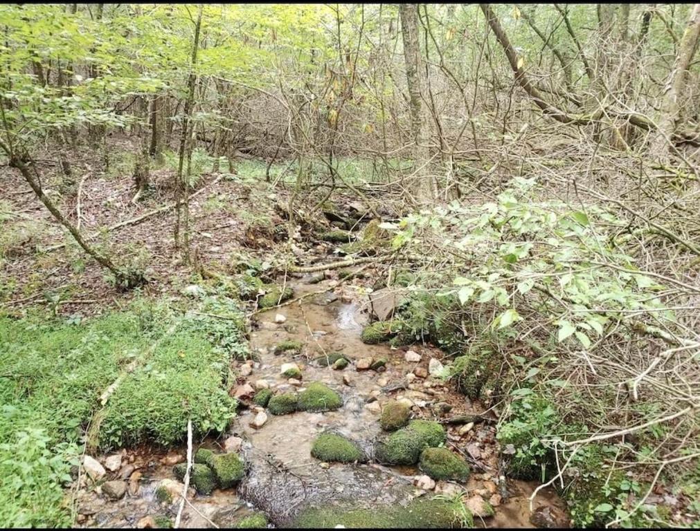 168 Secluded Acres Trails, Winery 5BR view 4