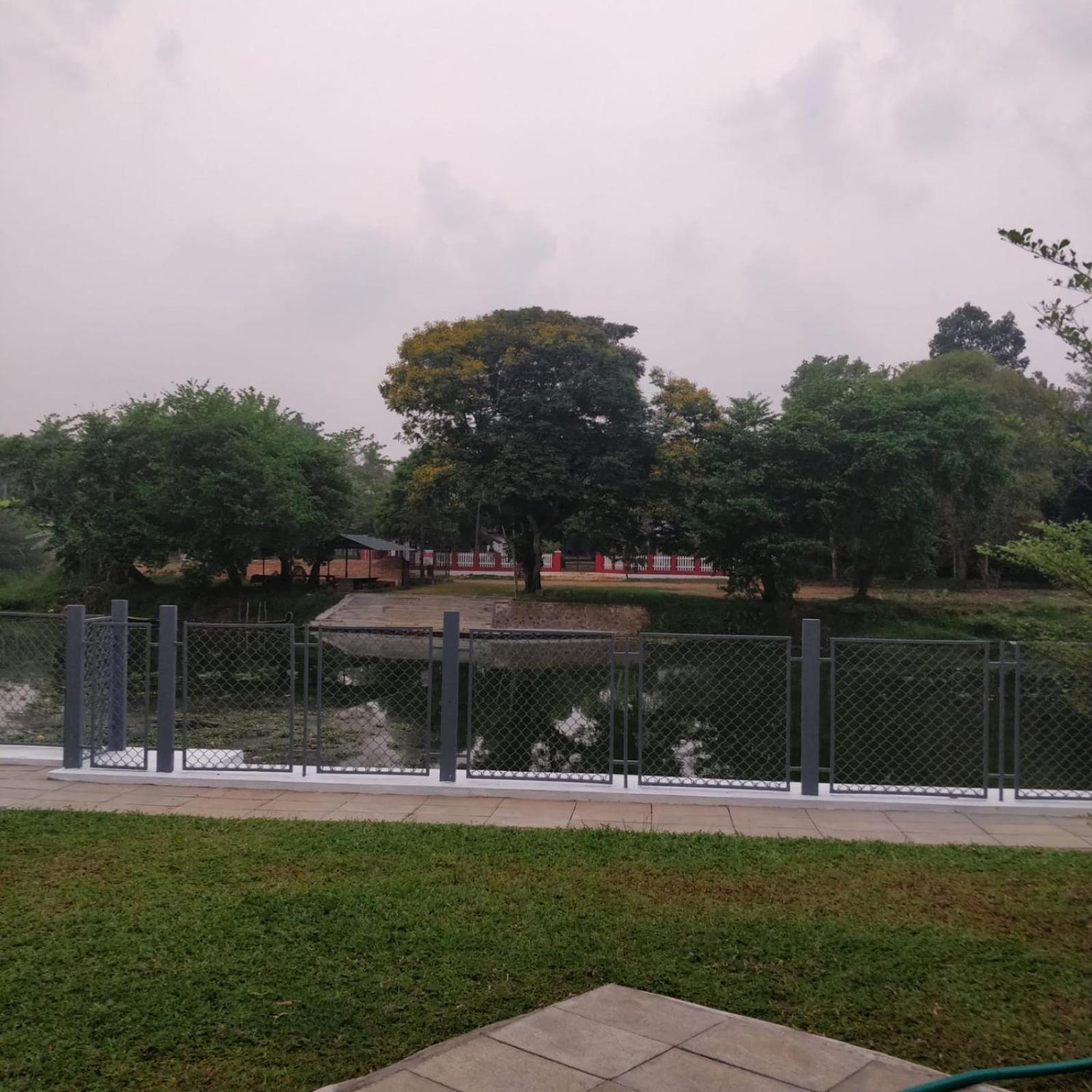 Photo 23