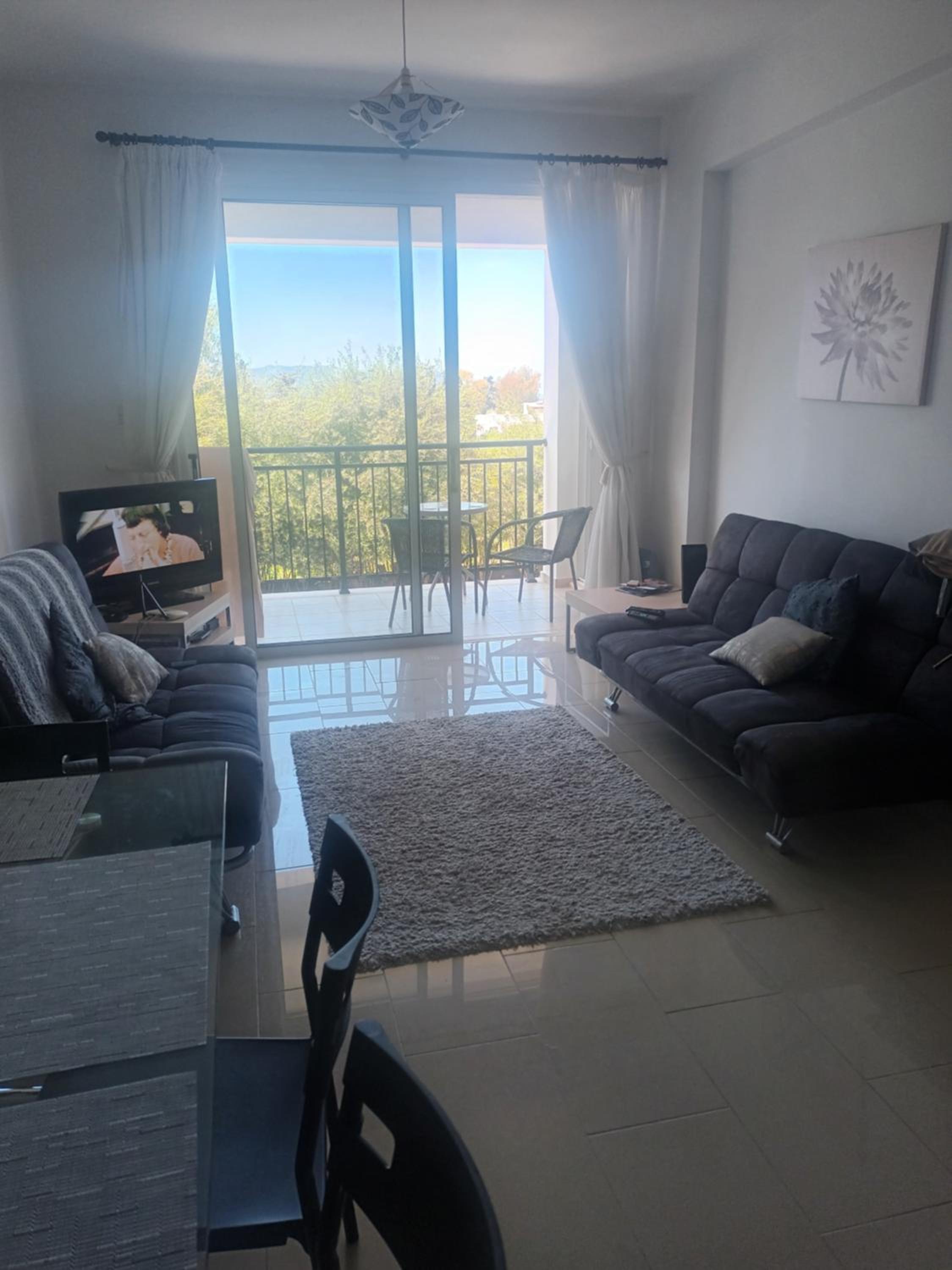 Apartment Oasis