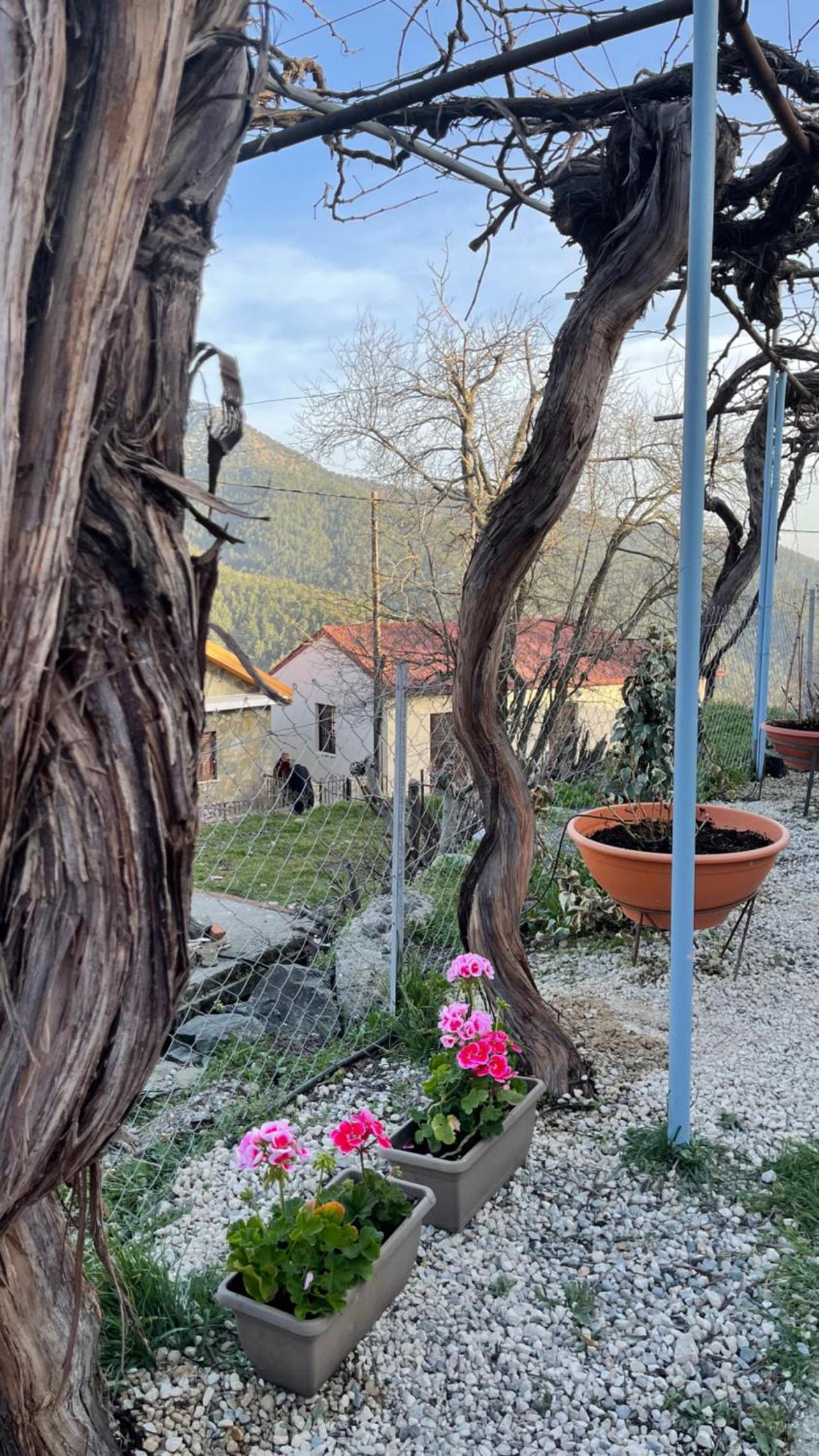 Holiday House Prodromos