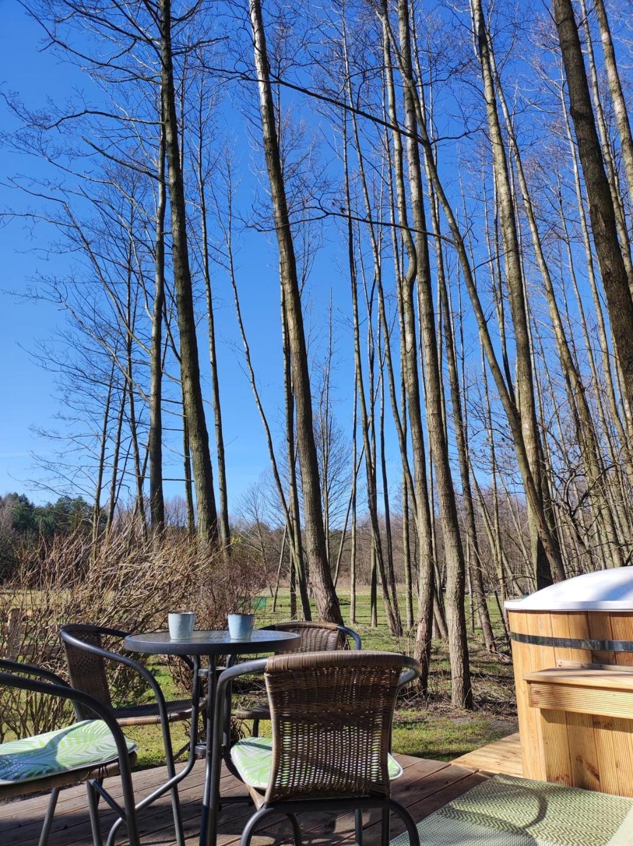 FORGLAMP, photo 53
