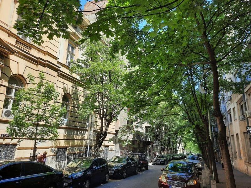 Apartment 51 - Bright, spacious, lux 1 bedroom in the city center - Stari grad view 3
