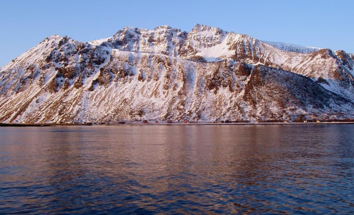 Photo 20