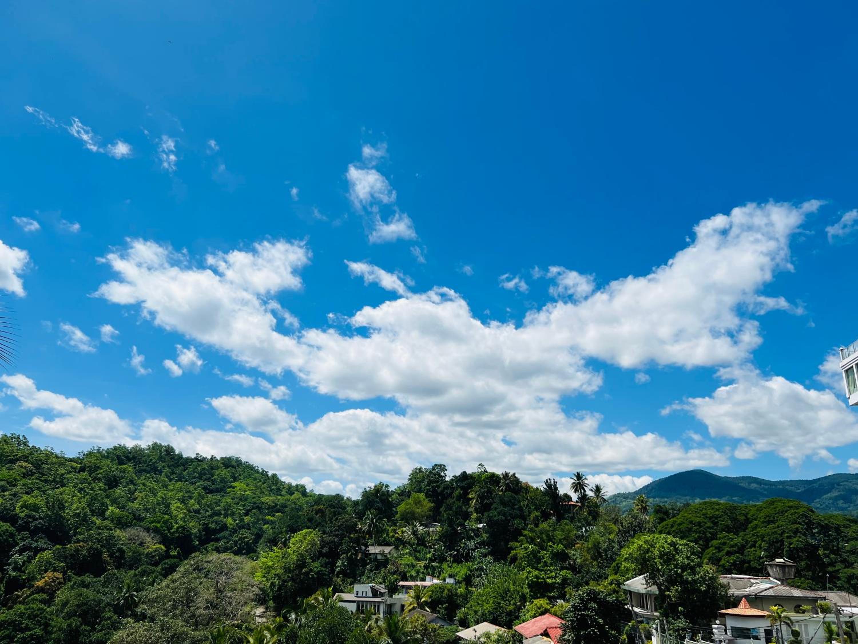Hansons Homestay