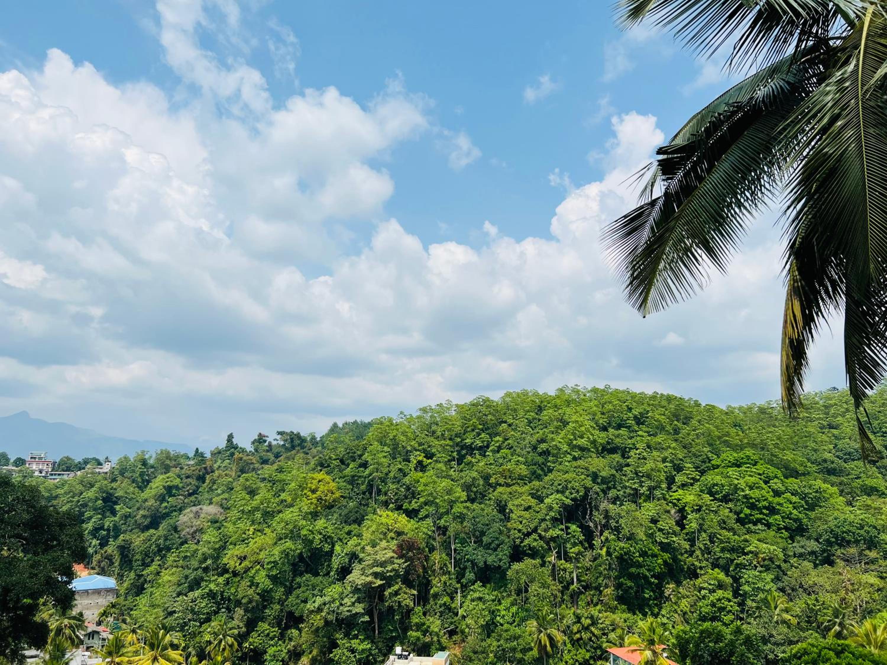 Hansons Homestay
