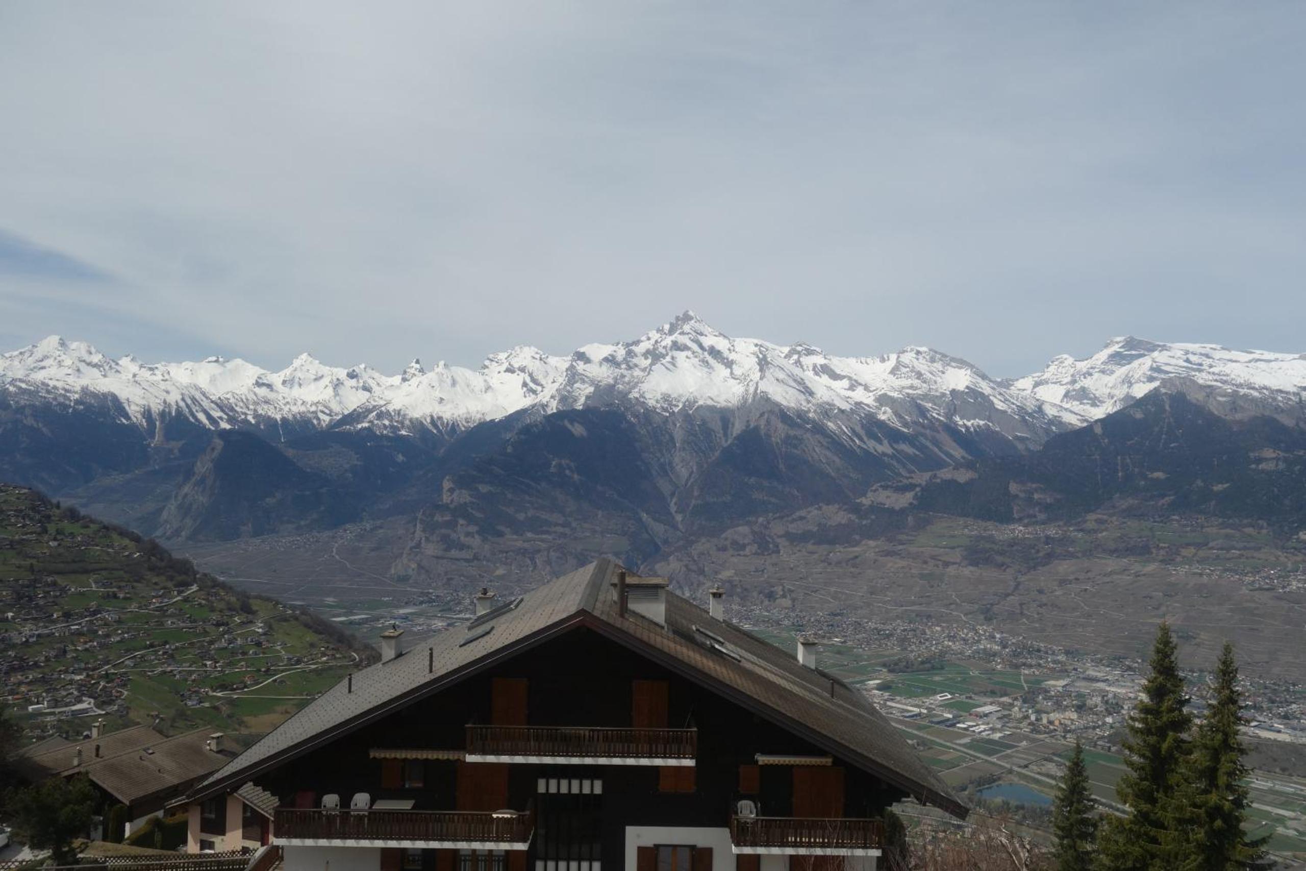Photo 43