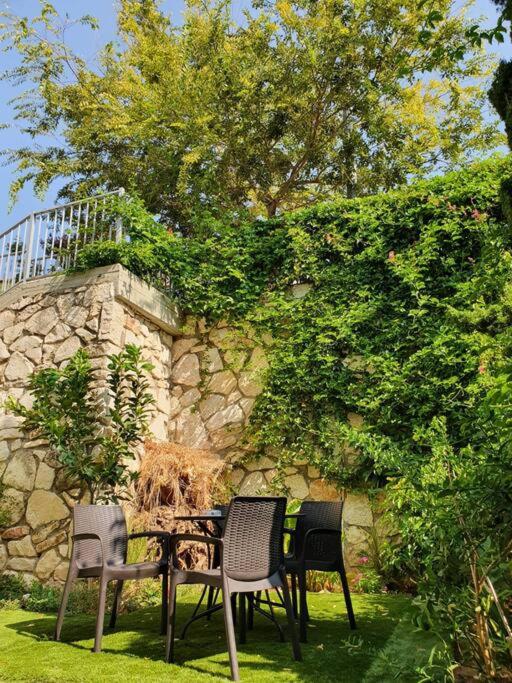Kiryat Tivon, Close by "Oranim" College and "Dor Tivon" Senior Housing - Free parking