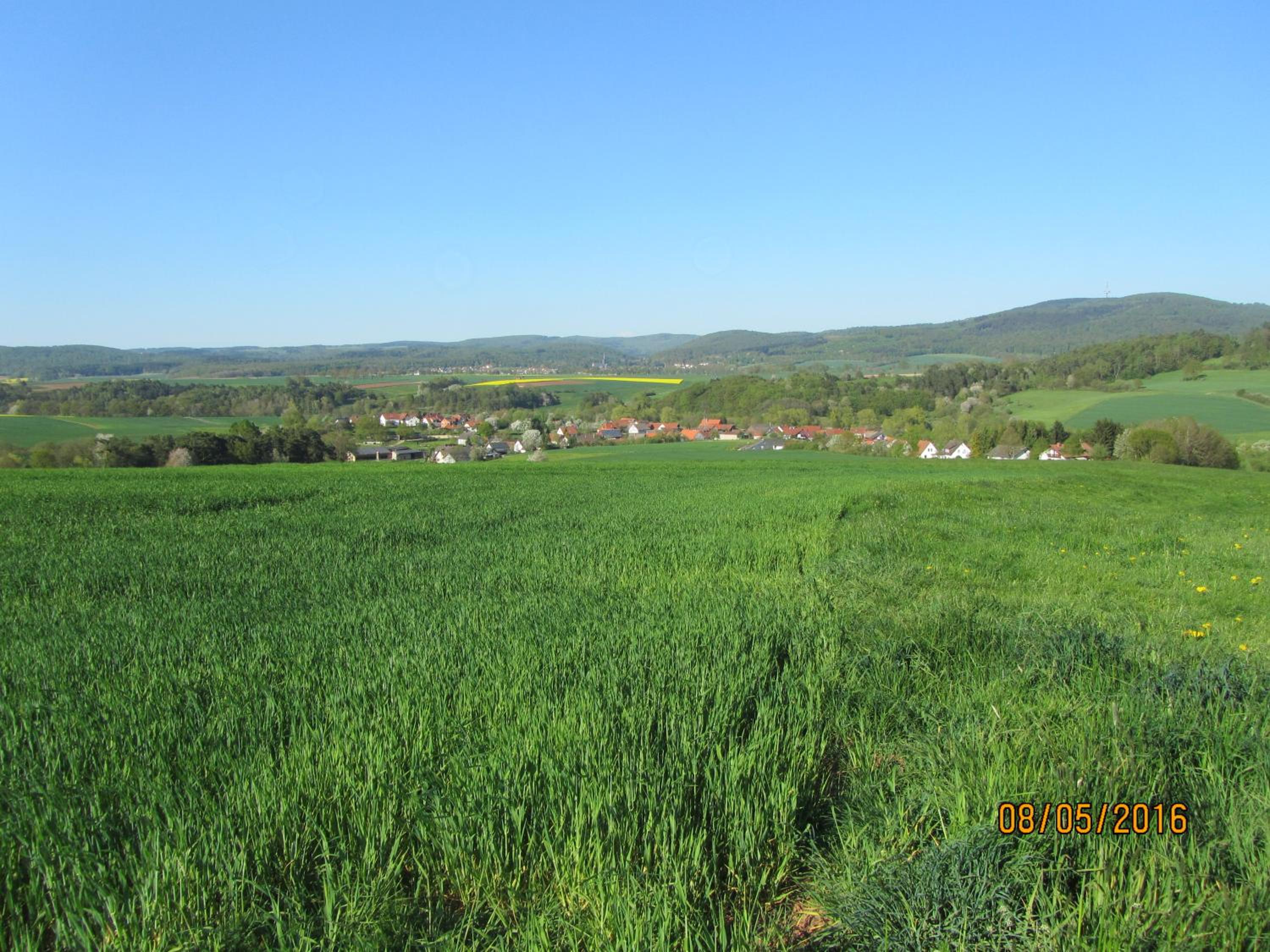Photo 25