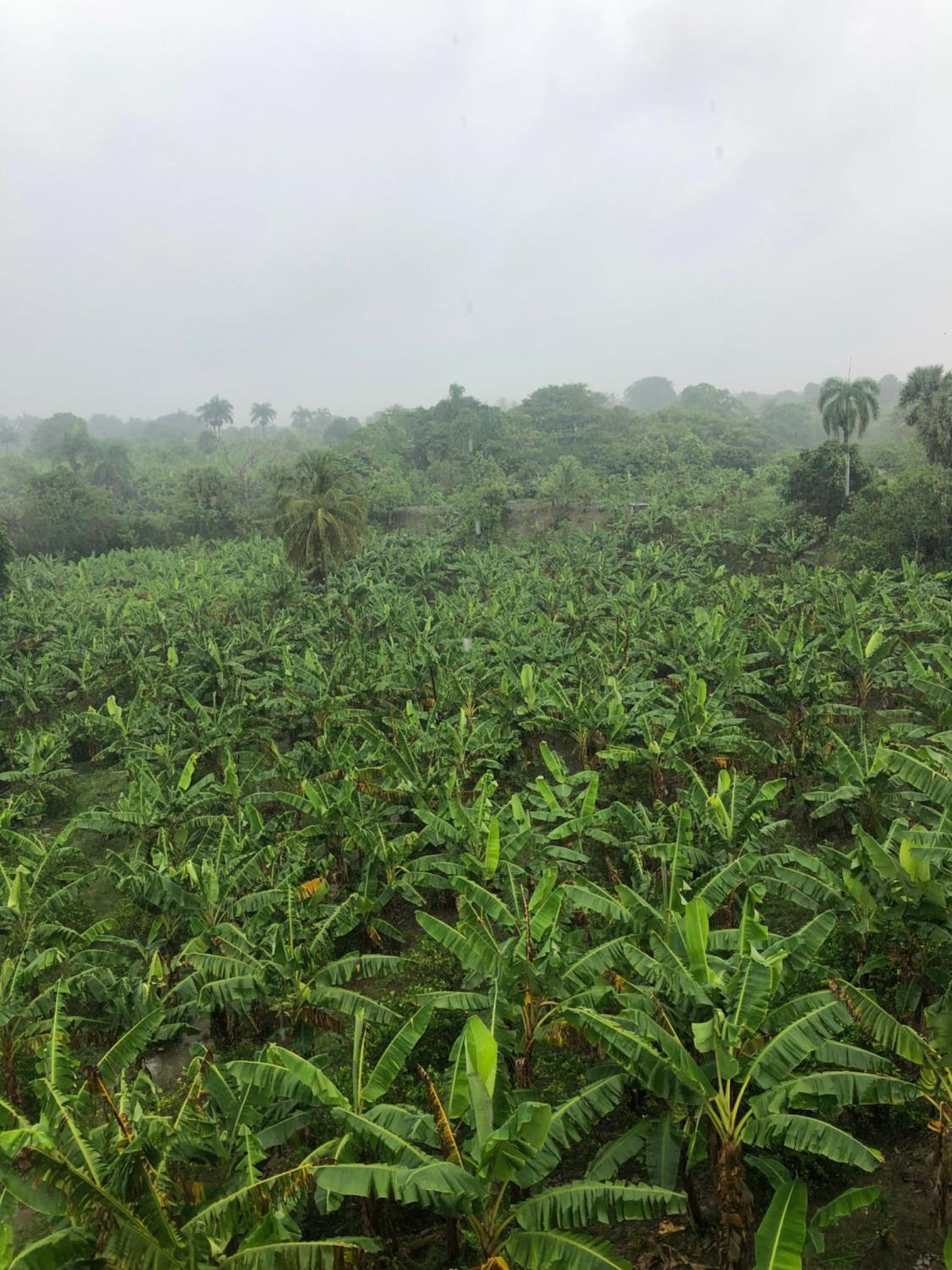 Complejo Ecoturistico Rancho Cielo