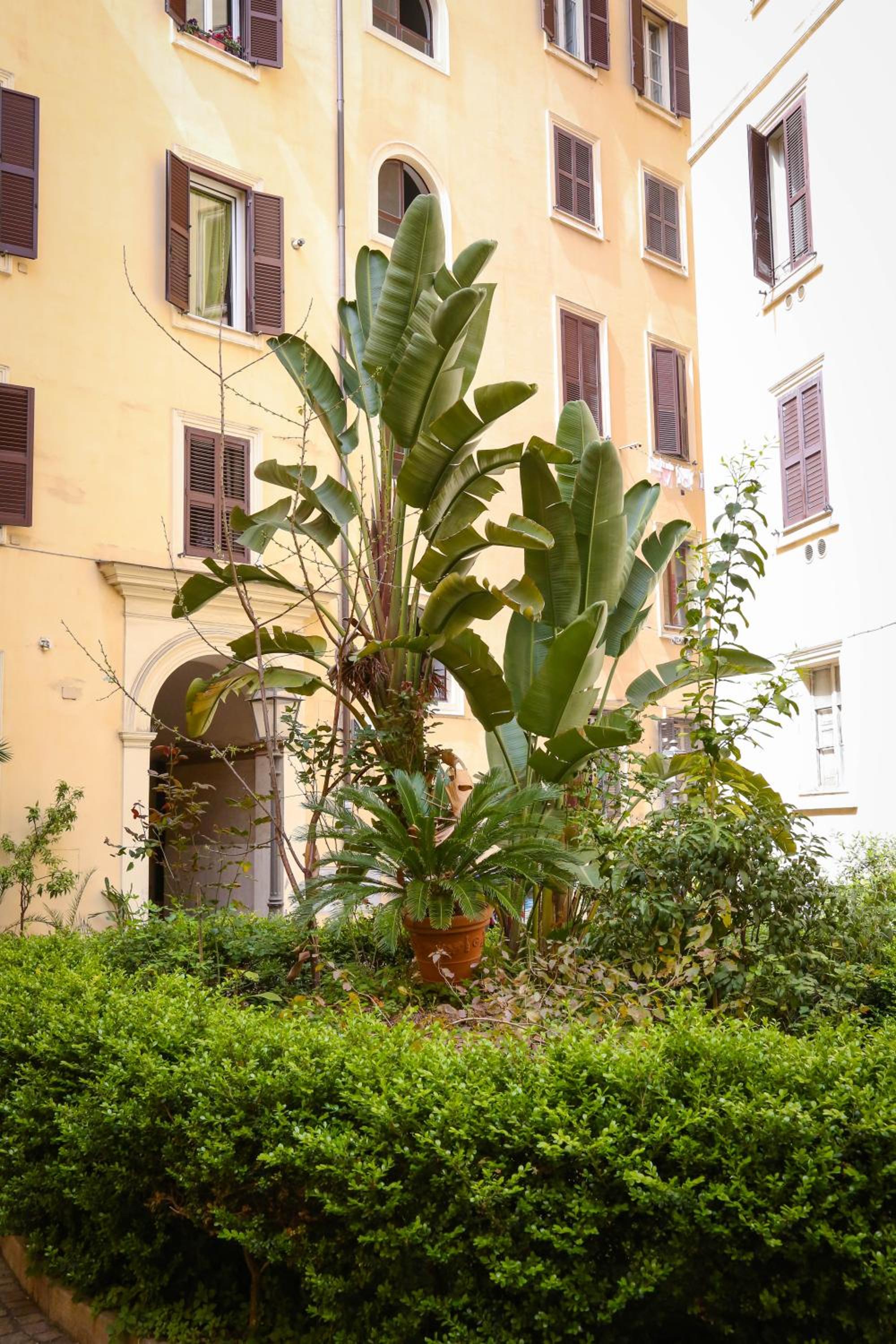 Mama House Roma
