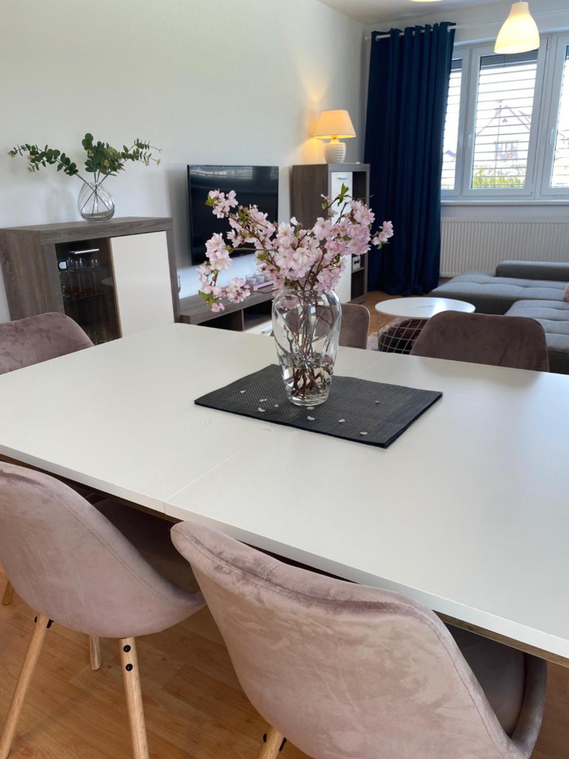 APARTMÁN LUŽNICE TŘEBOŇ