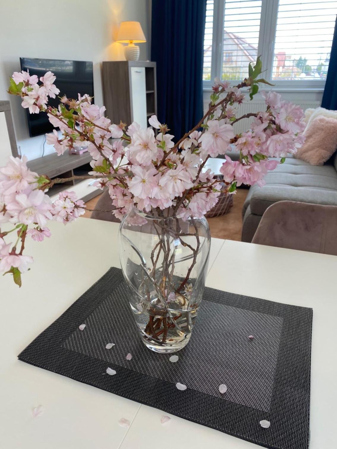 APARTMÁN LUŽNICE TŘEBOŇ