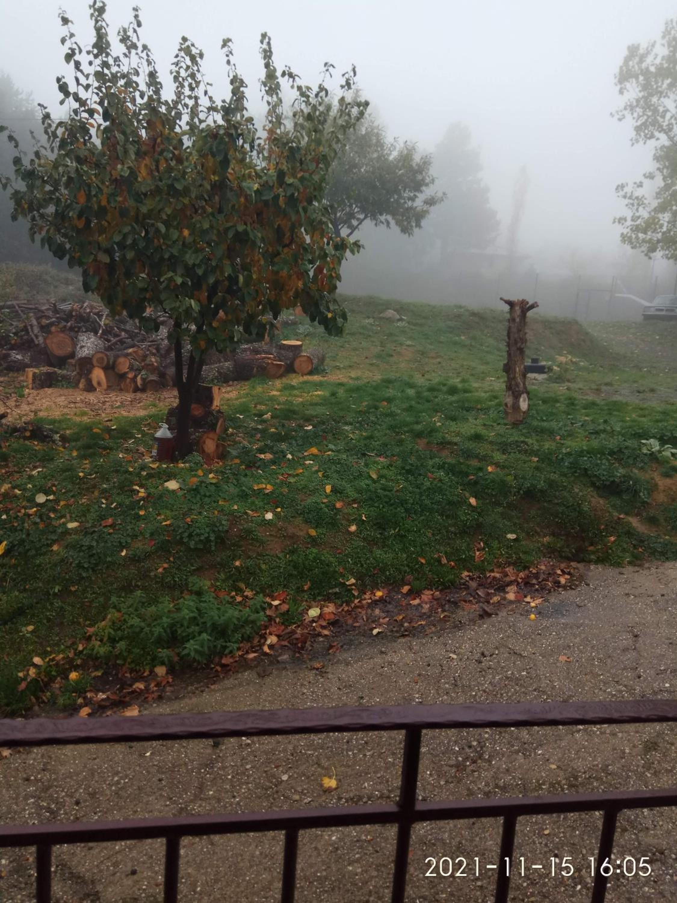 Guesthouse Kastania Korakis