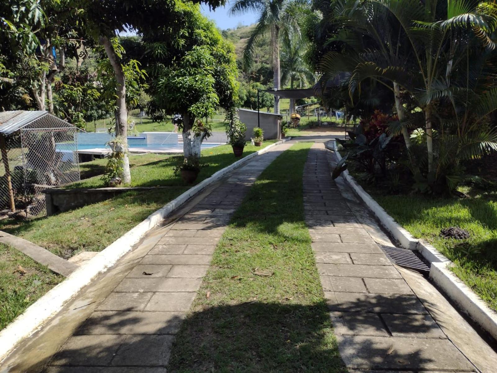 Photo 32