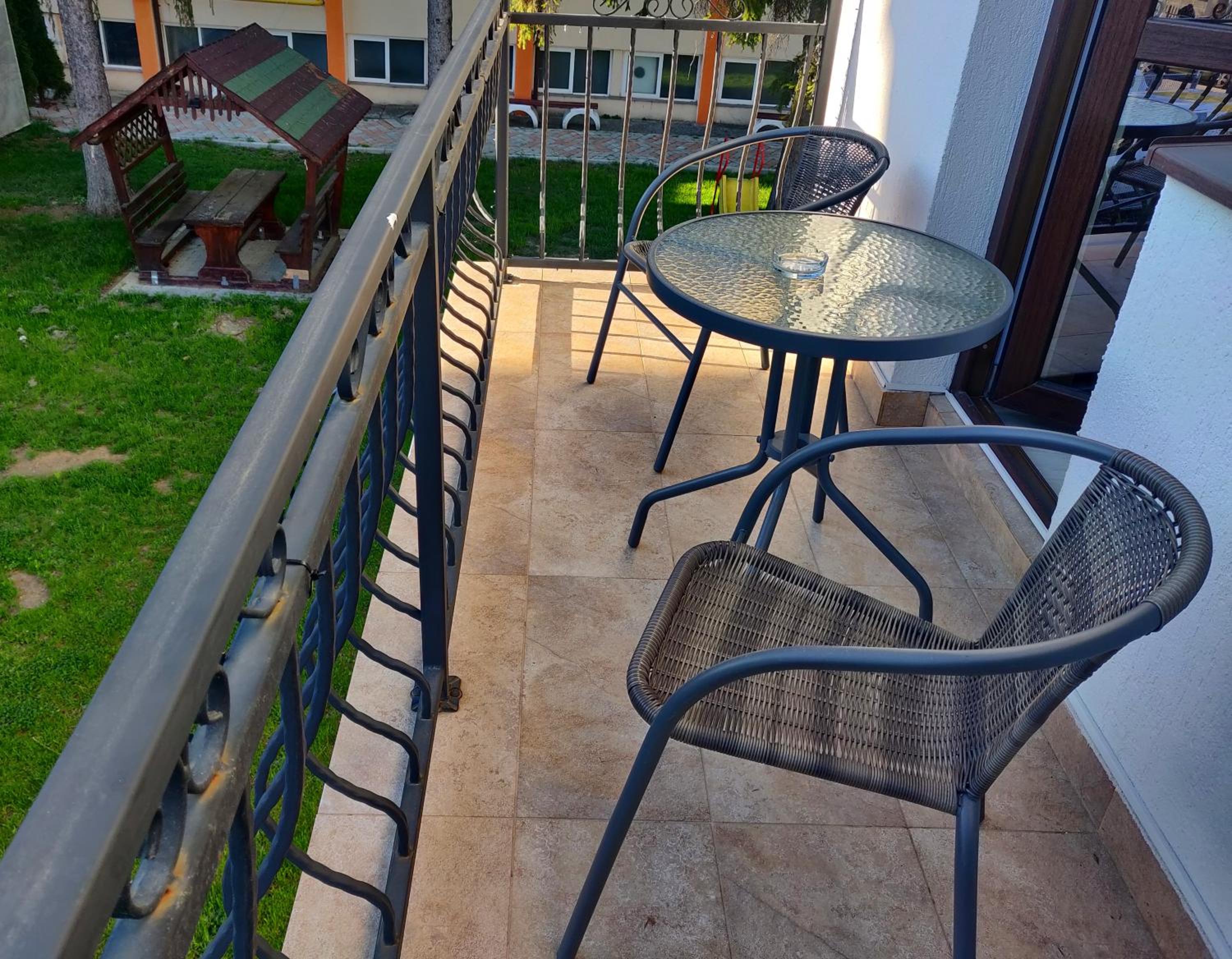 Pensiunea Alesia view 5