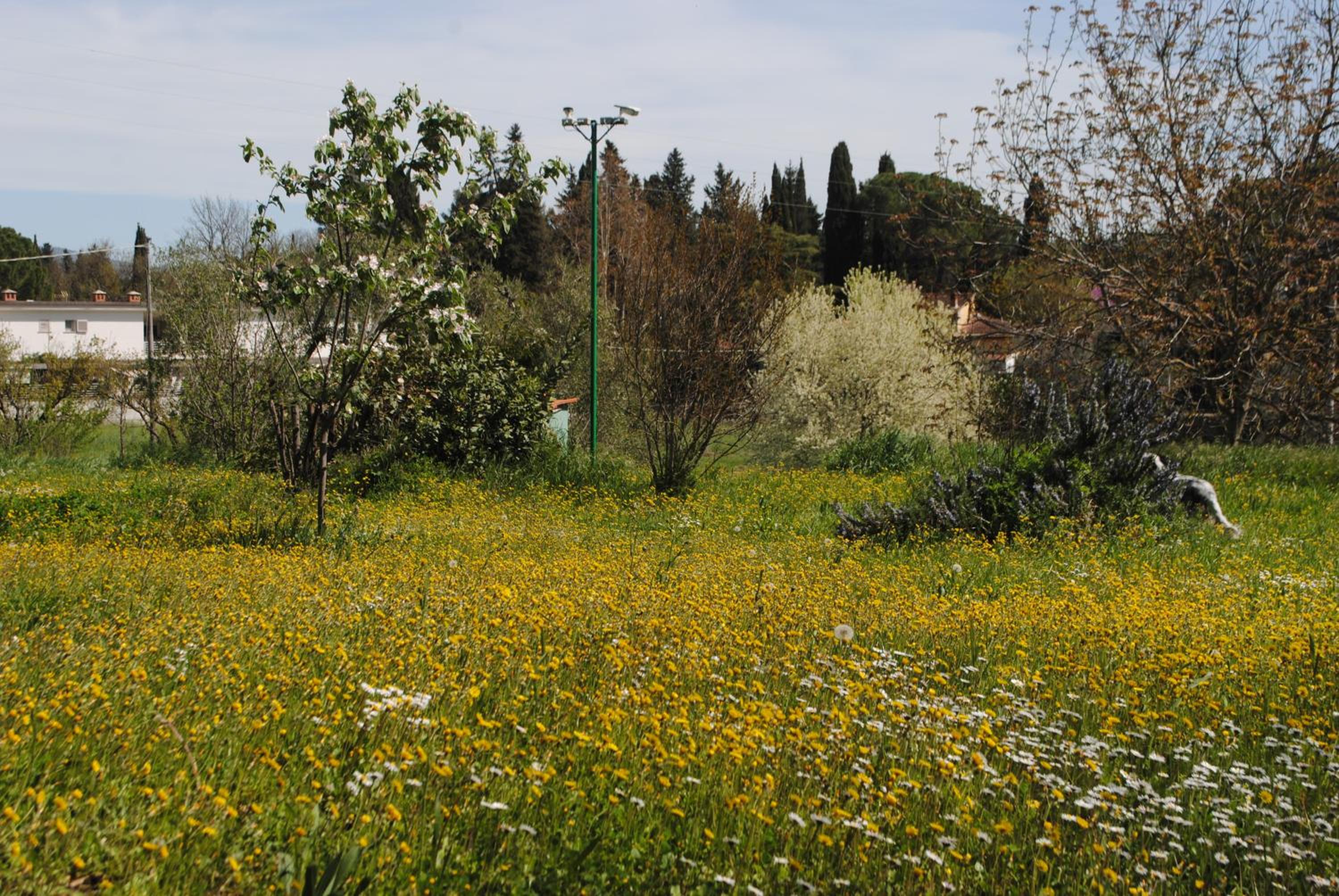 Agriturismo Fattoria di Malavolta