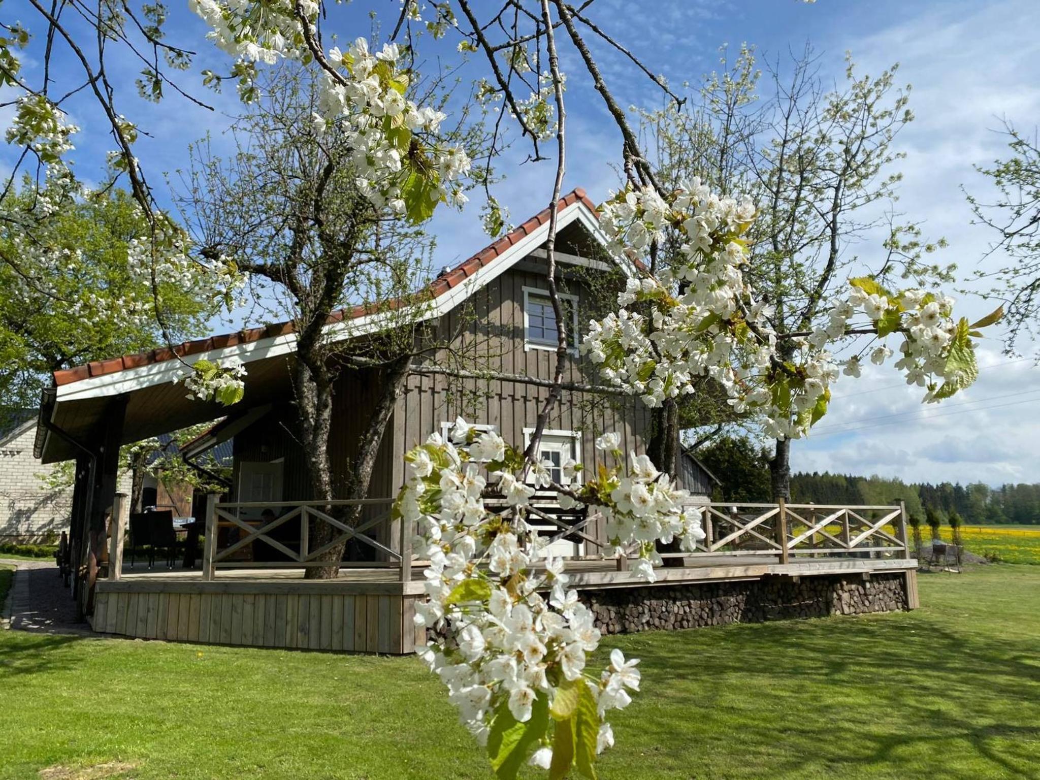 Photo 8