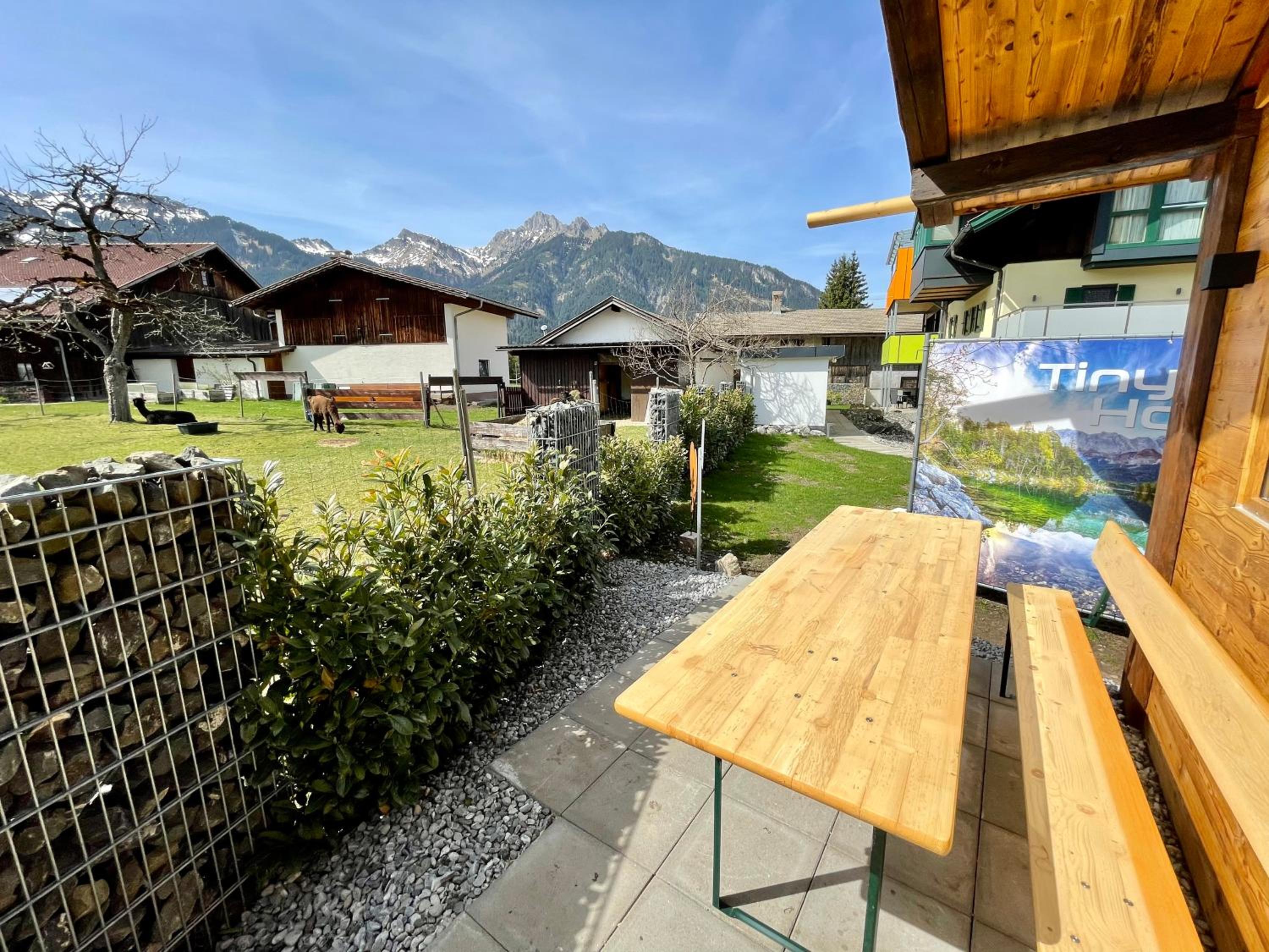 Tiny House Singer - contactless check-in - Sauna view 5
