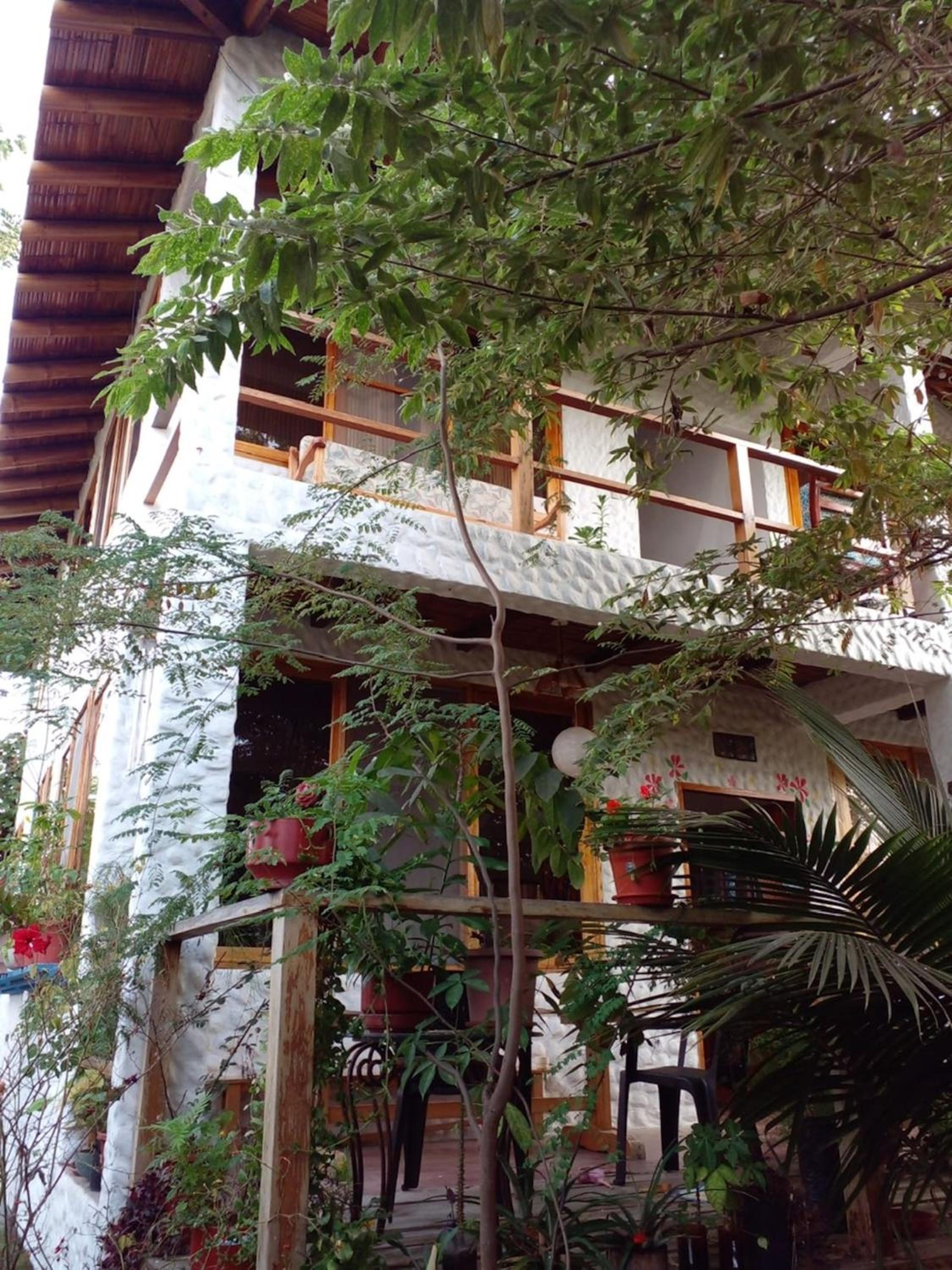 Photo 11