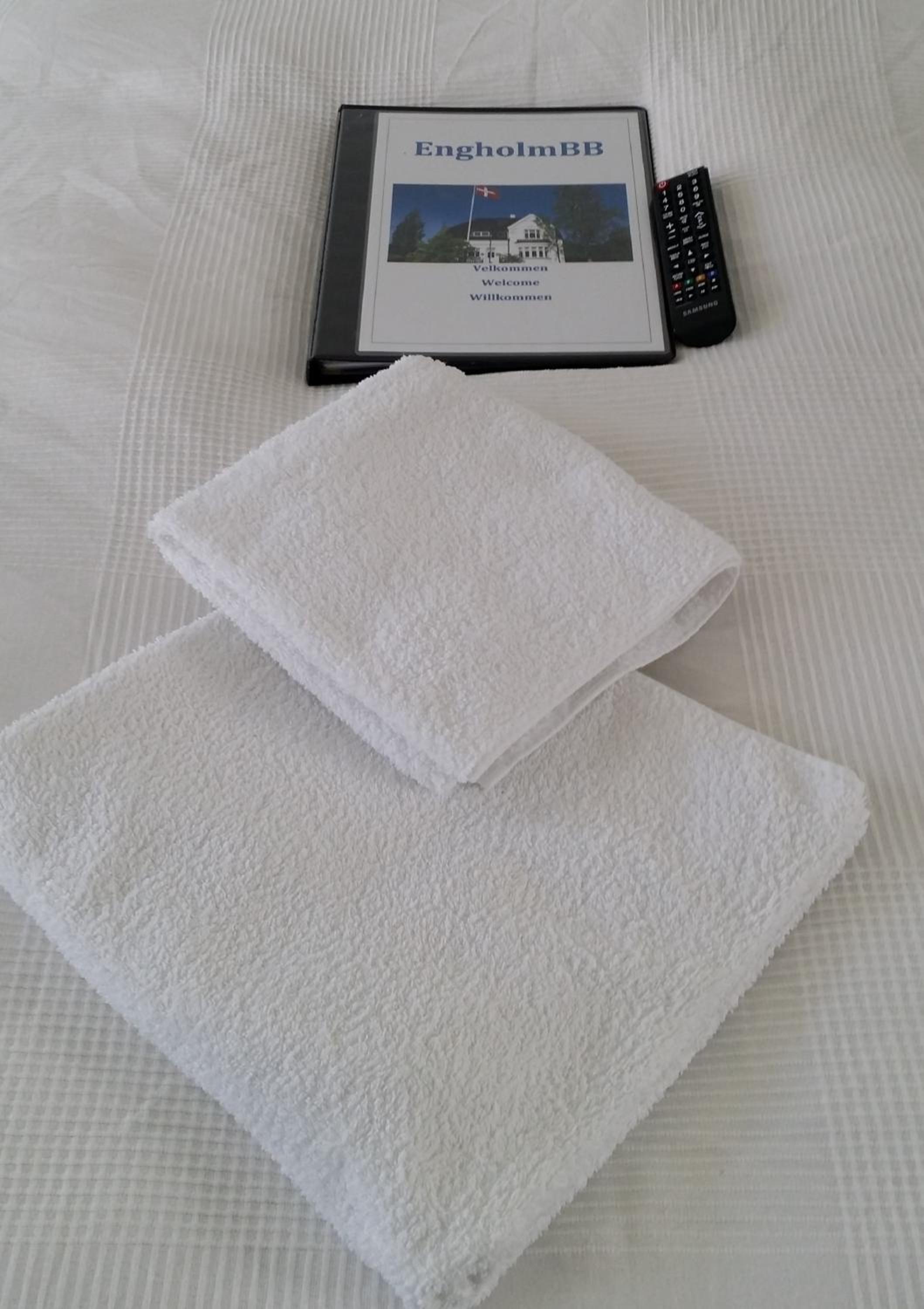 Odense Vacations - EngholmBB - Property Image 12