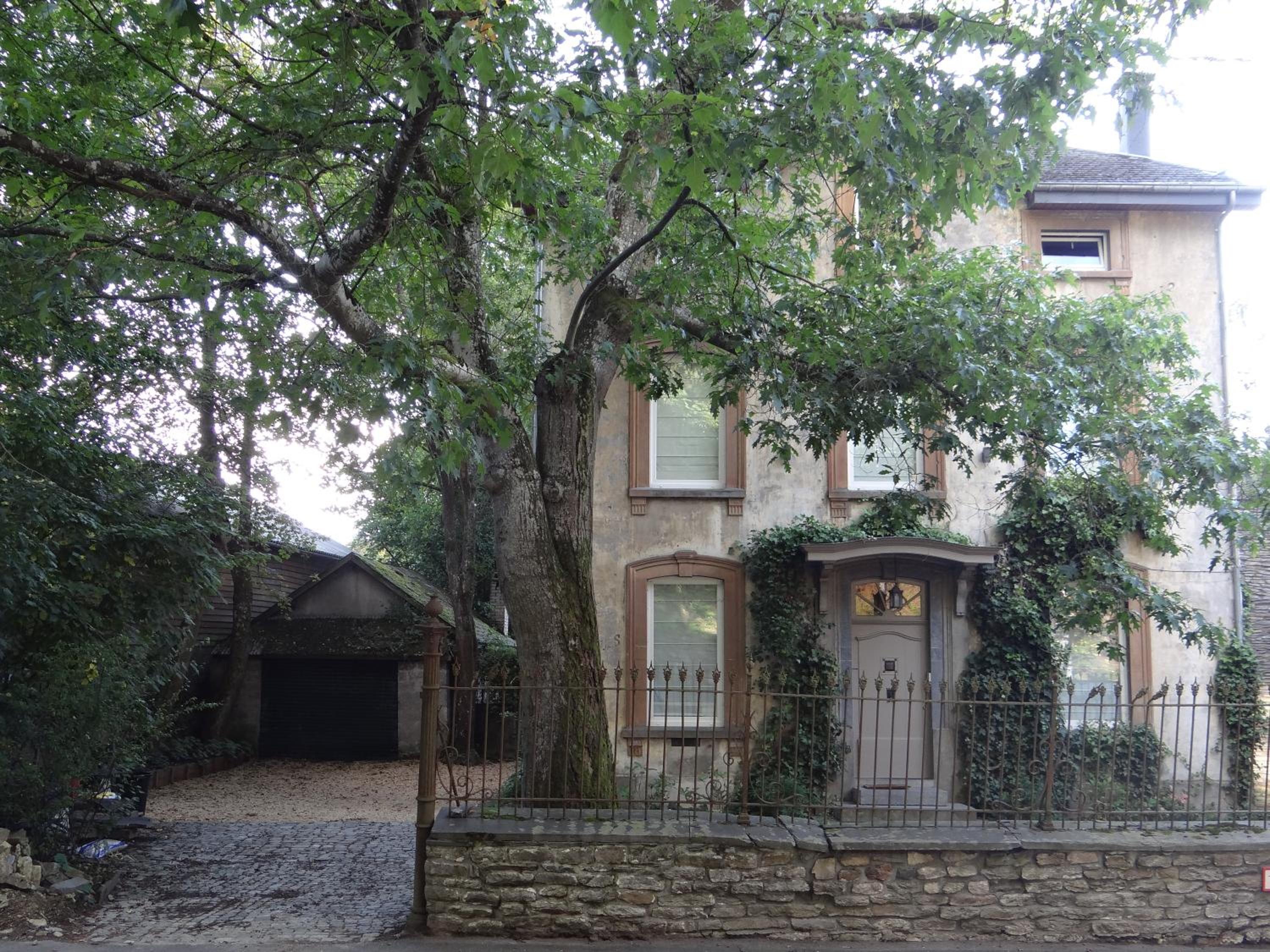 B&B Les Tilleuls