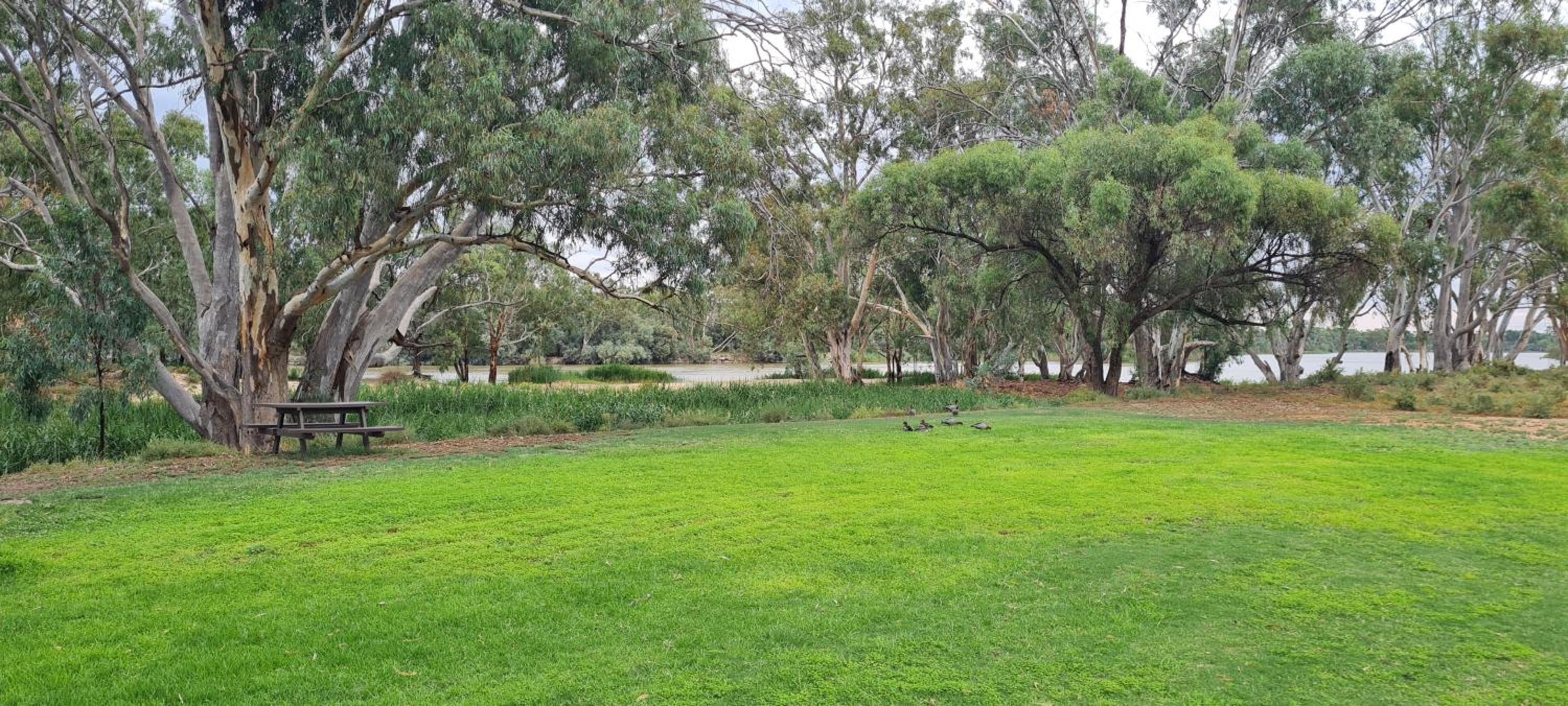 Riversands Rest Accommodation Paringa - Willow Cottage