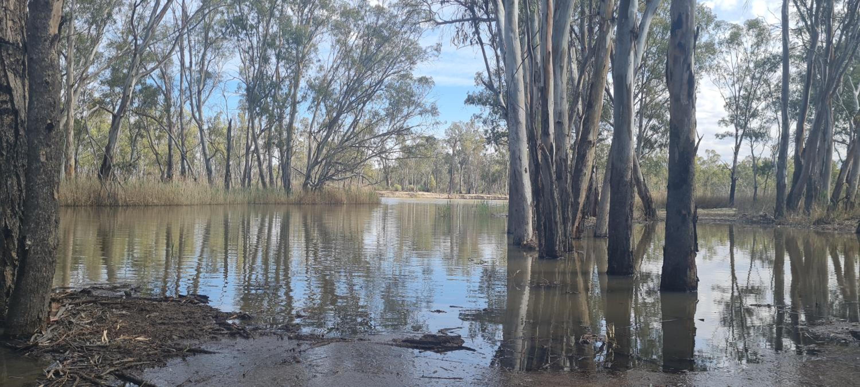 Riversands Rest Accommodation Paringa - Willow Cottage