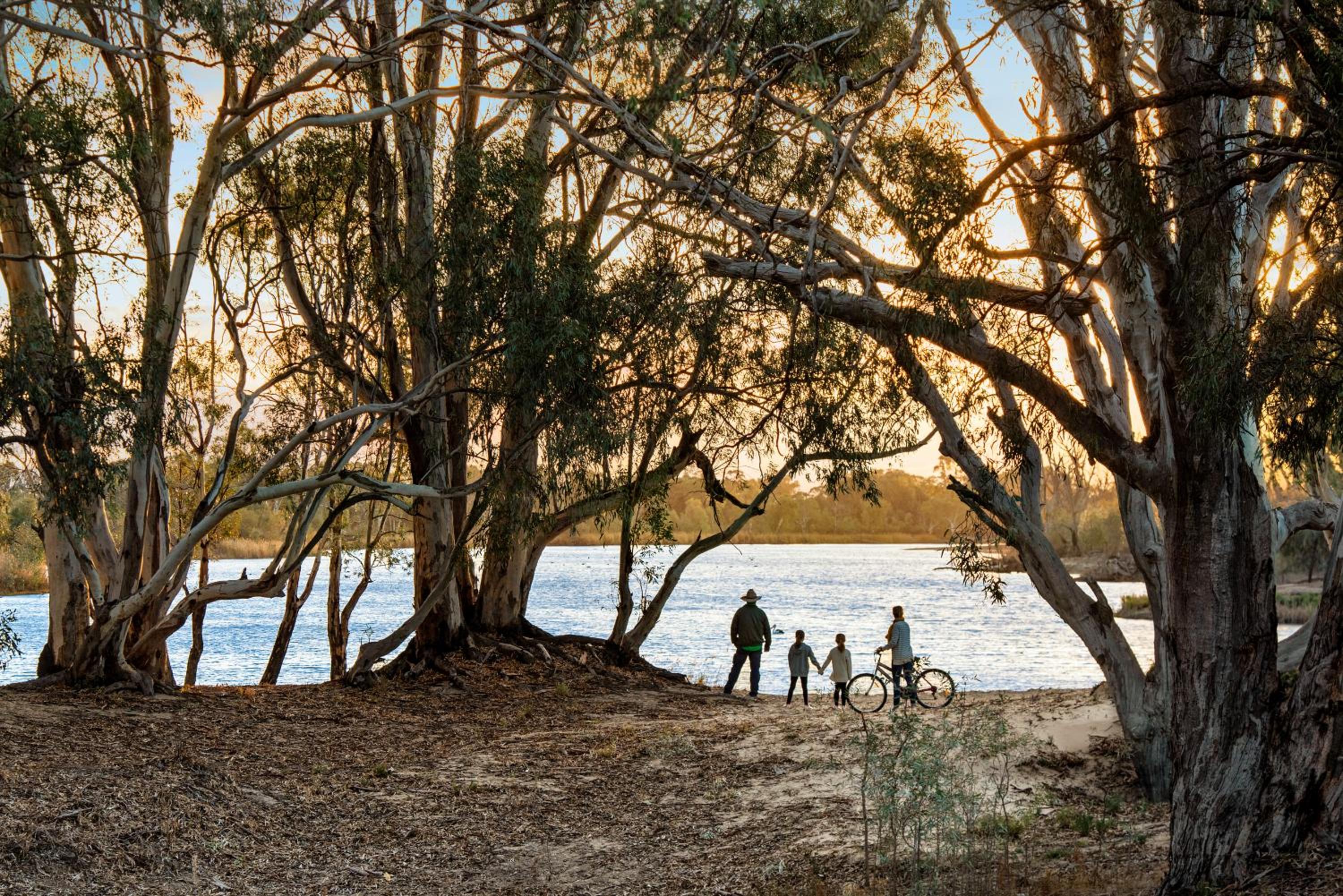Riversands Rest Accommodation Paringa - Willow Cottage