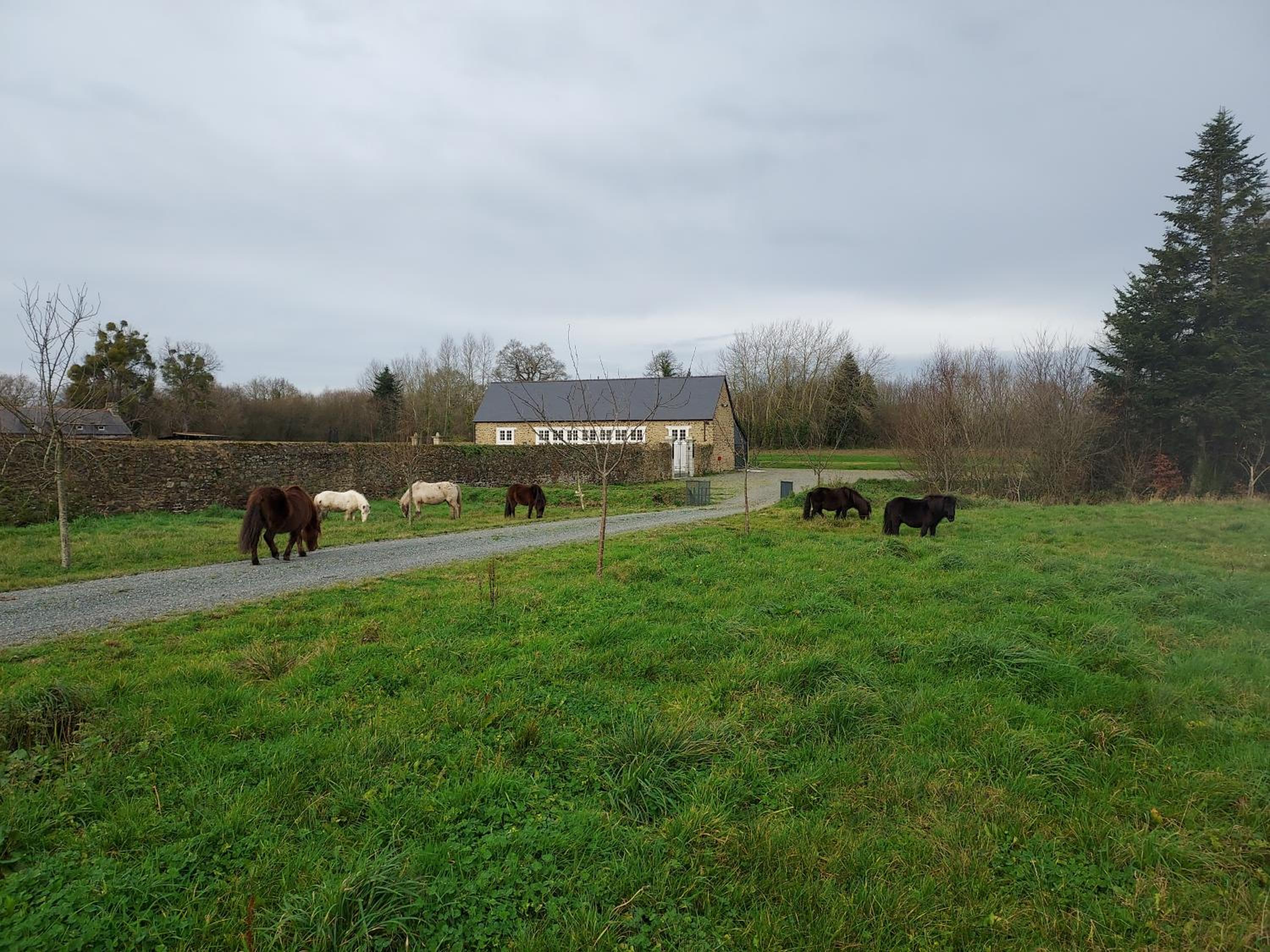 Gite du Bois de la Salle view 4