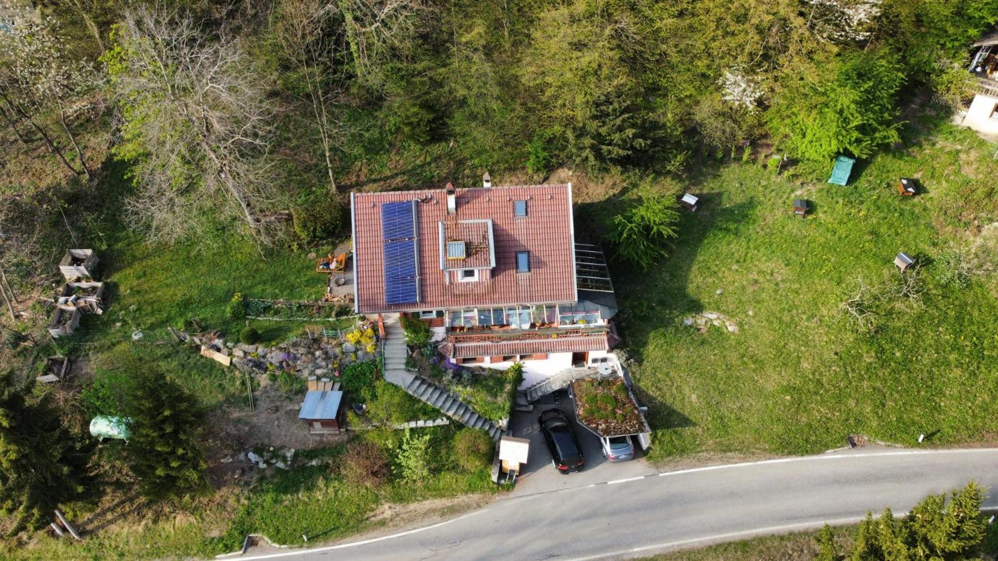 1 ZI Appartement Zauberwald