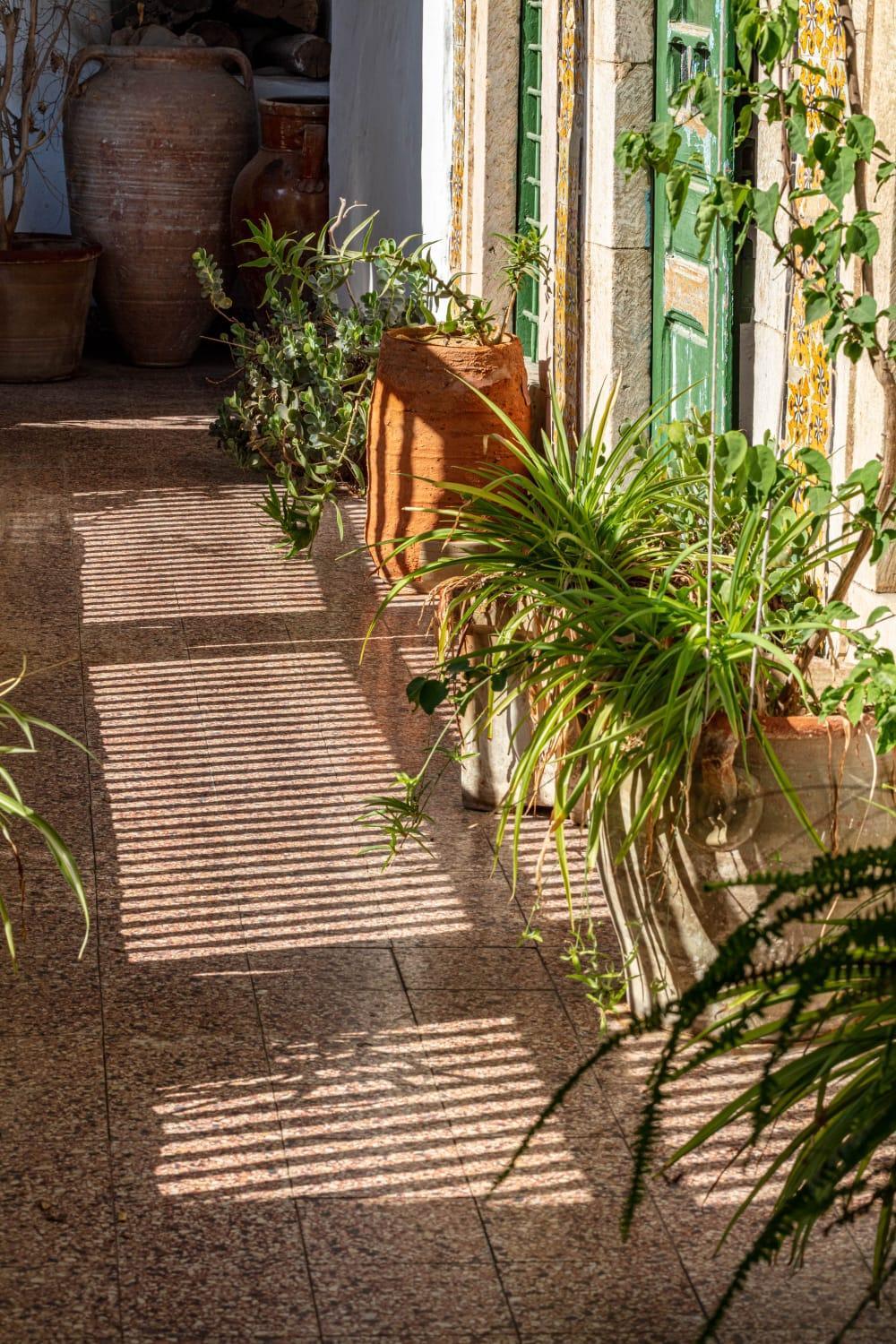 Dar Hayder-la Medina