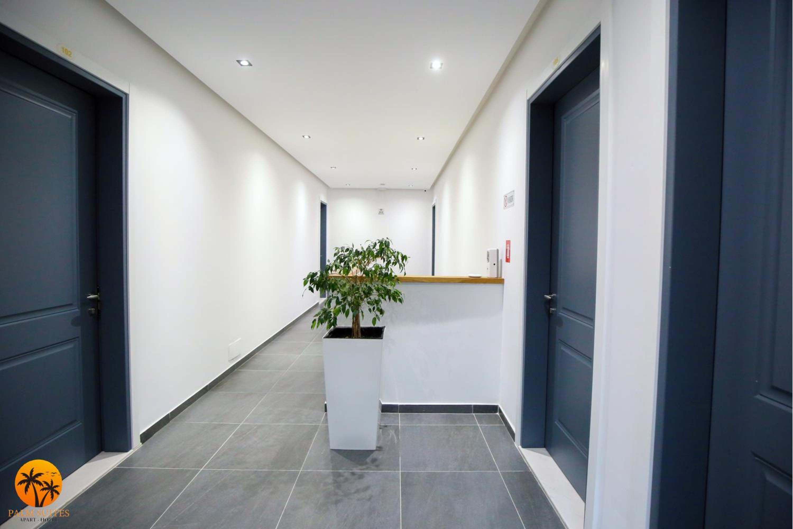 Palm Suites Apartment-Suite