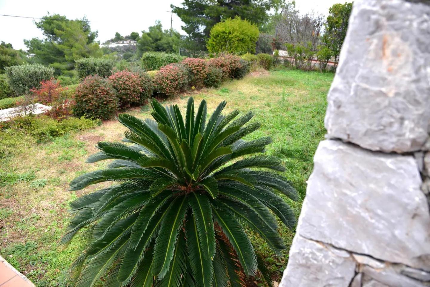 VILA AMALIA view 2