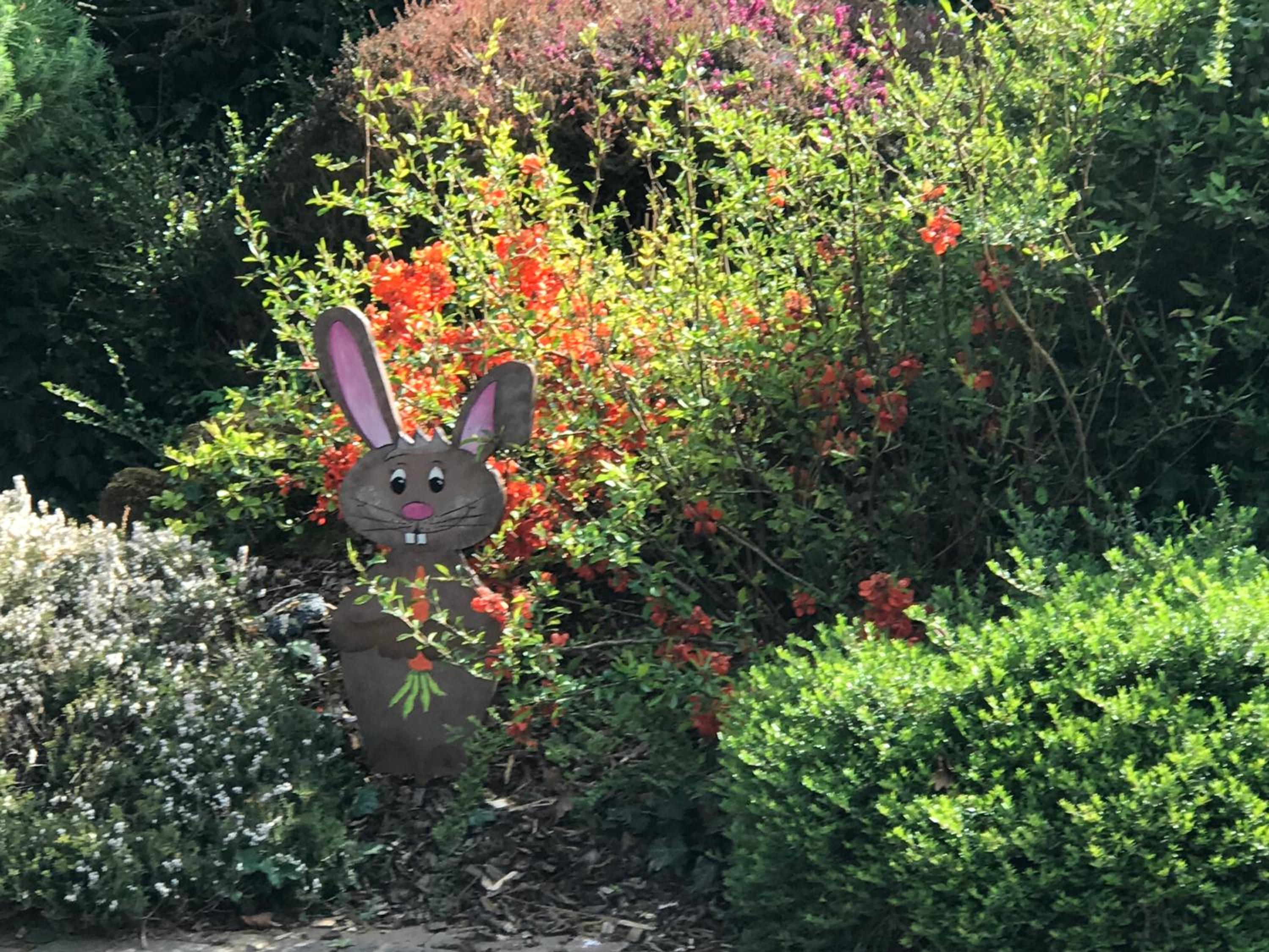 Photo 19