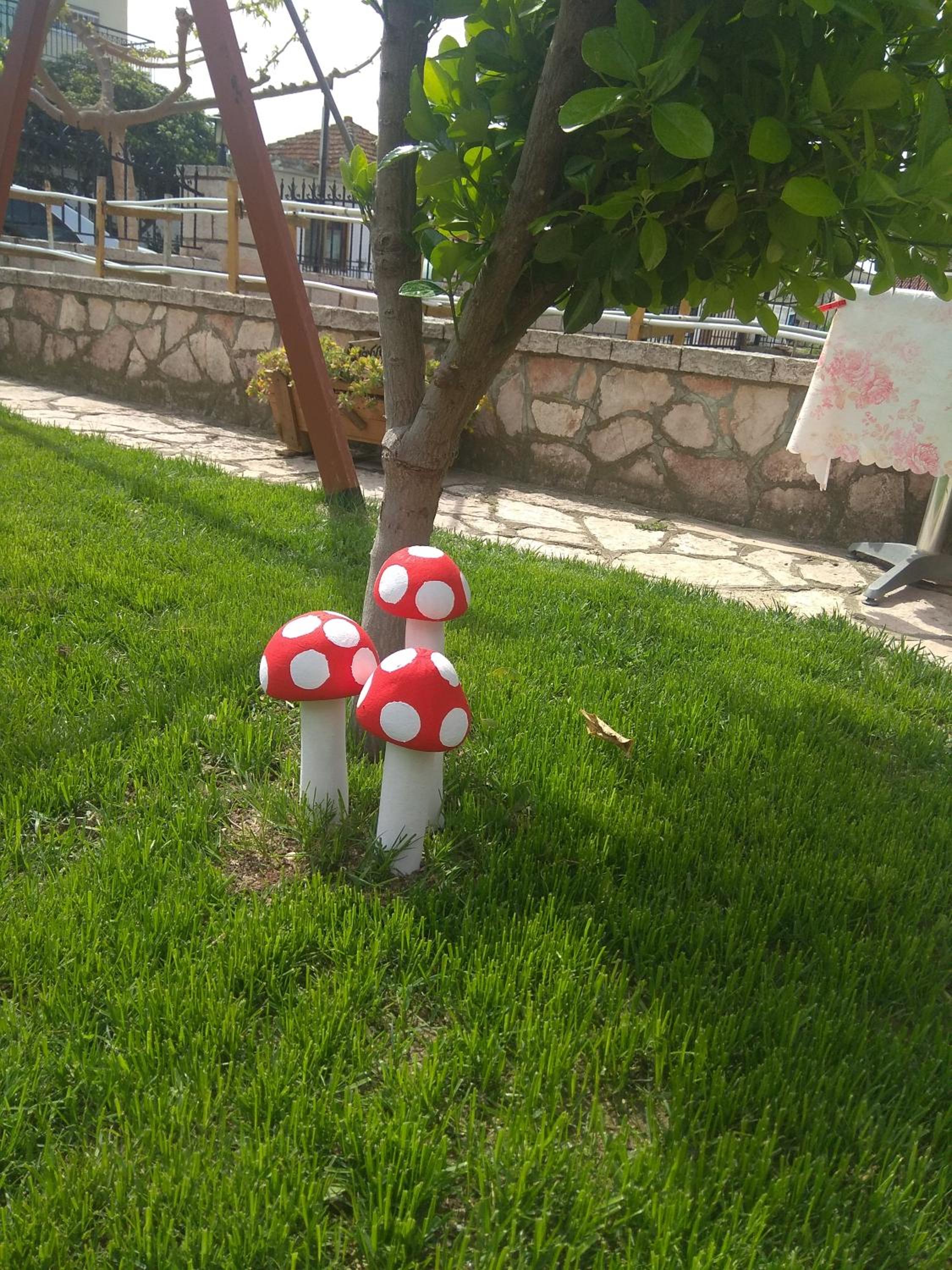 Photo 9