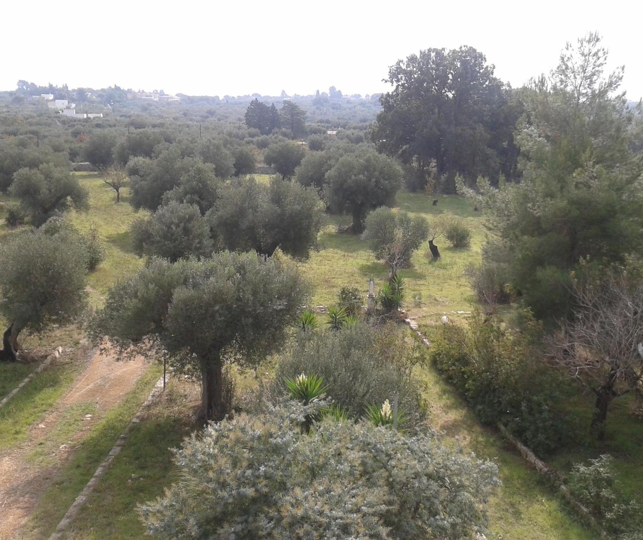 Photo 24