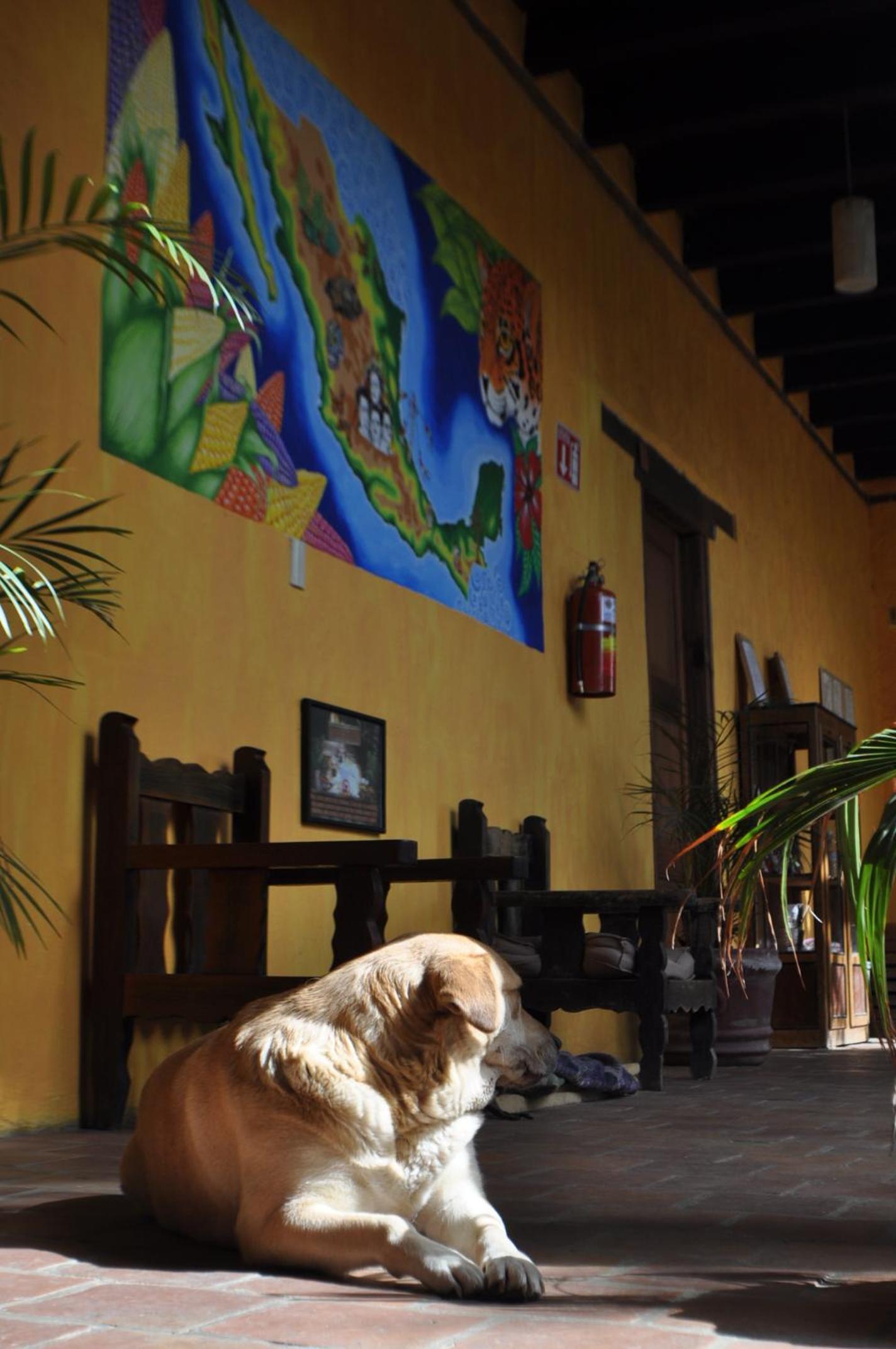 Rossco Hostel & Hotel