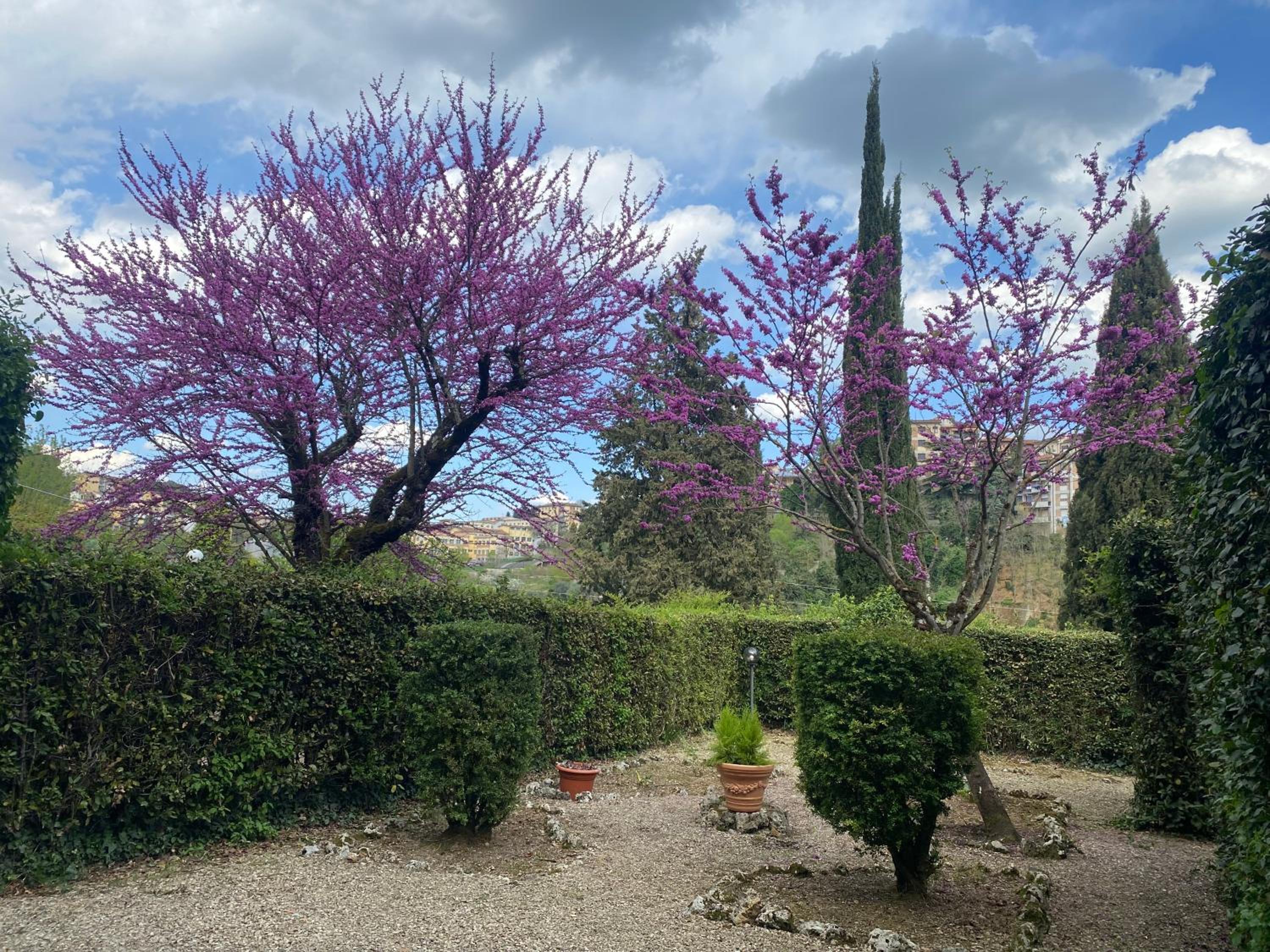 Villa Zara