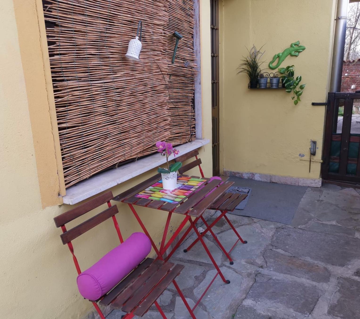 Bnbook Il Geco