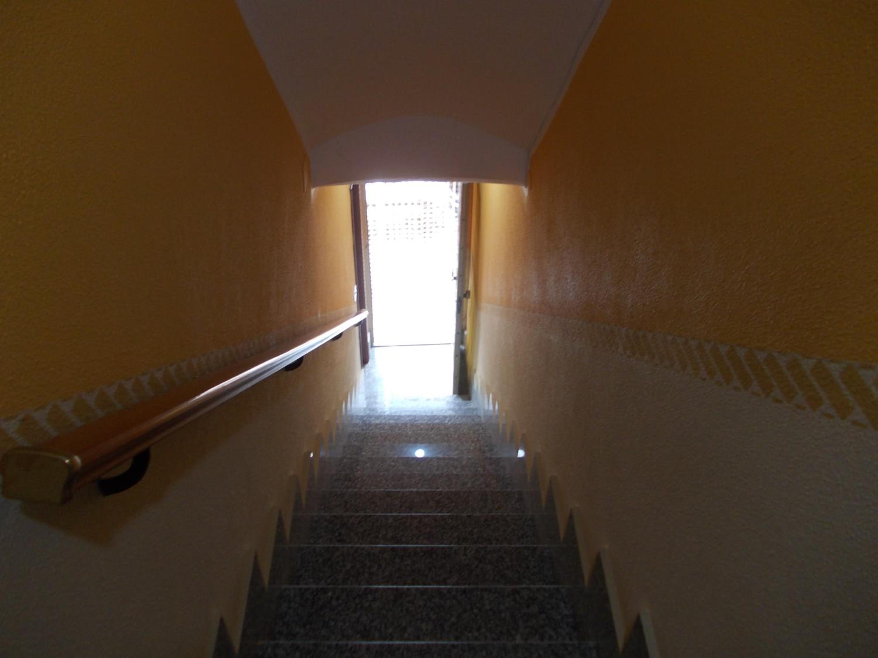 Soleli