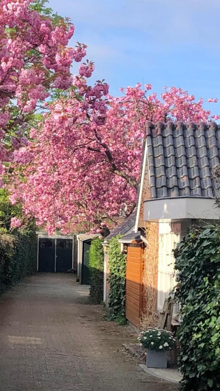 Prins Heerlijk view 2