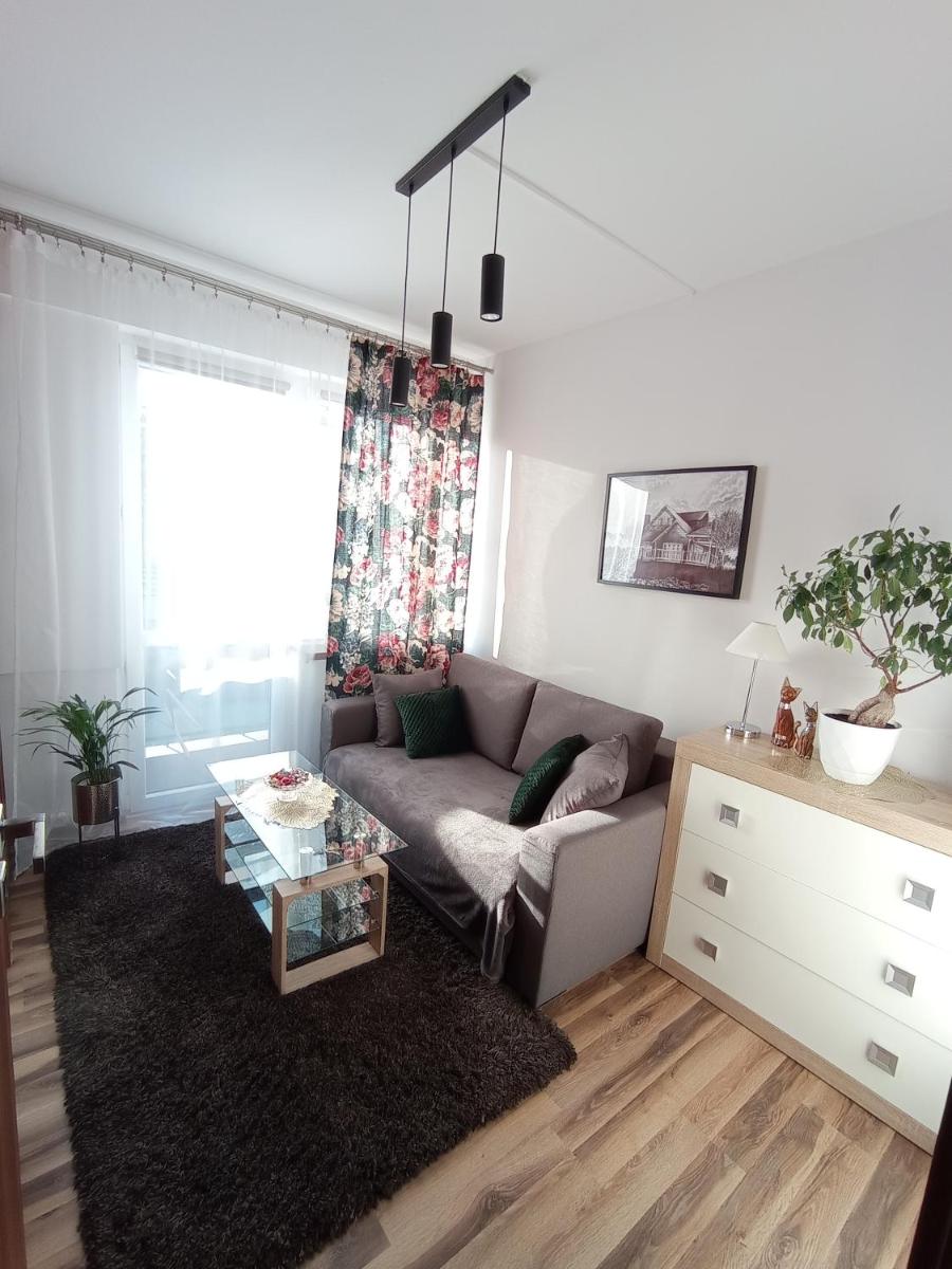 MK Apartament I view 2