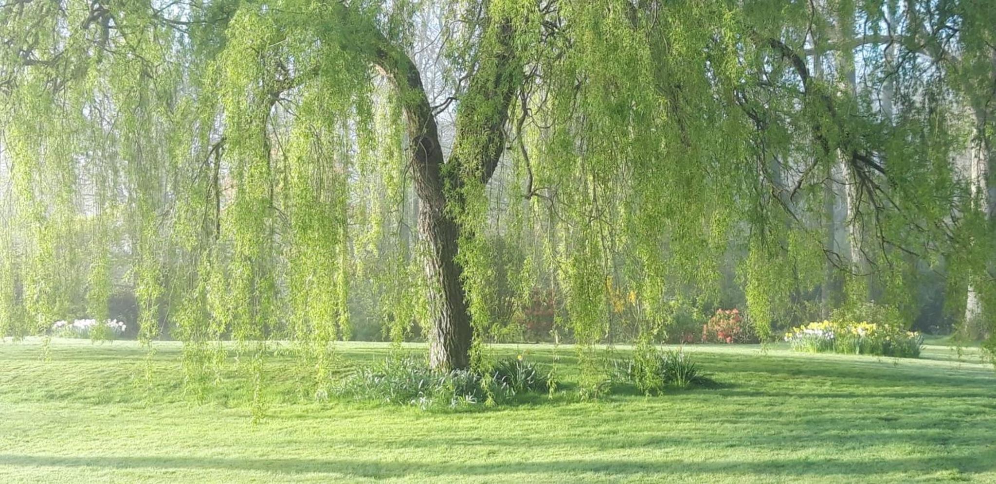 Paul's Farmhouse view 3