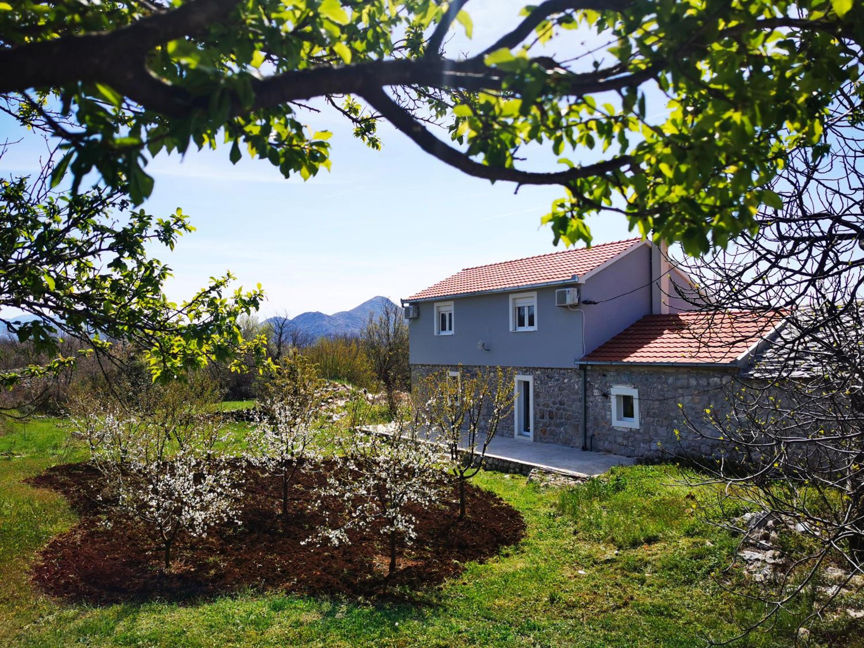 Apartmani Matej